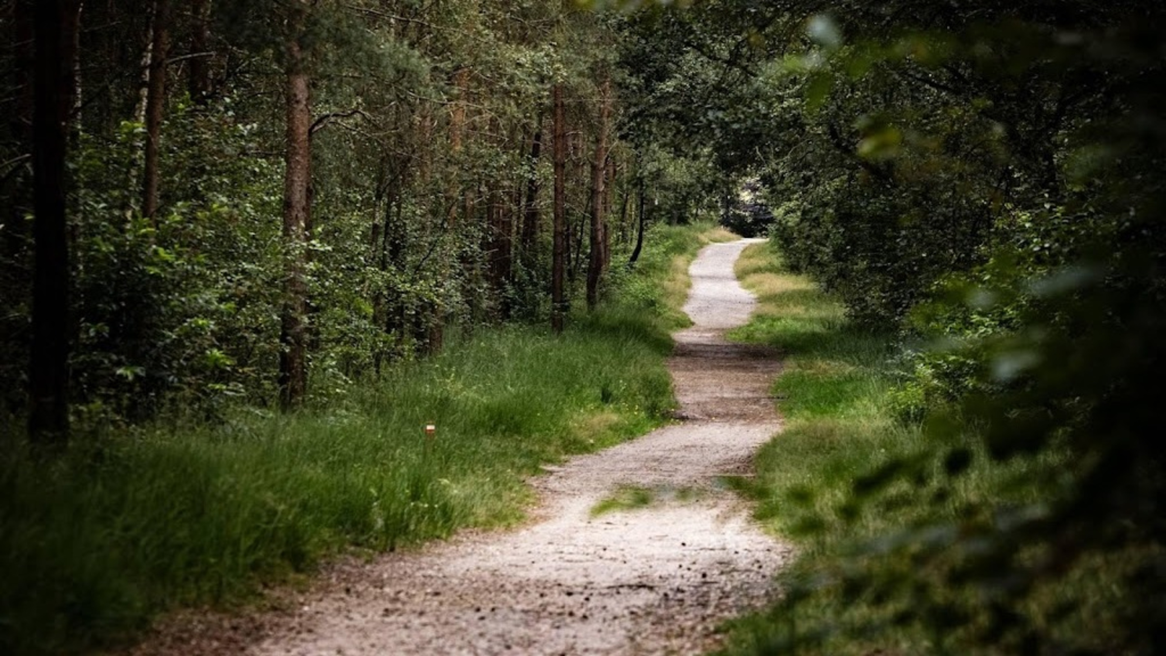 Utrechtse Heuvelrug National Park to double in size