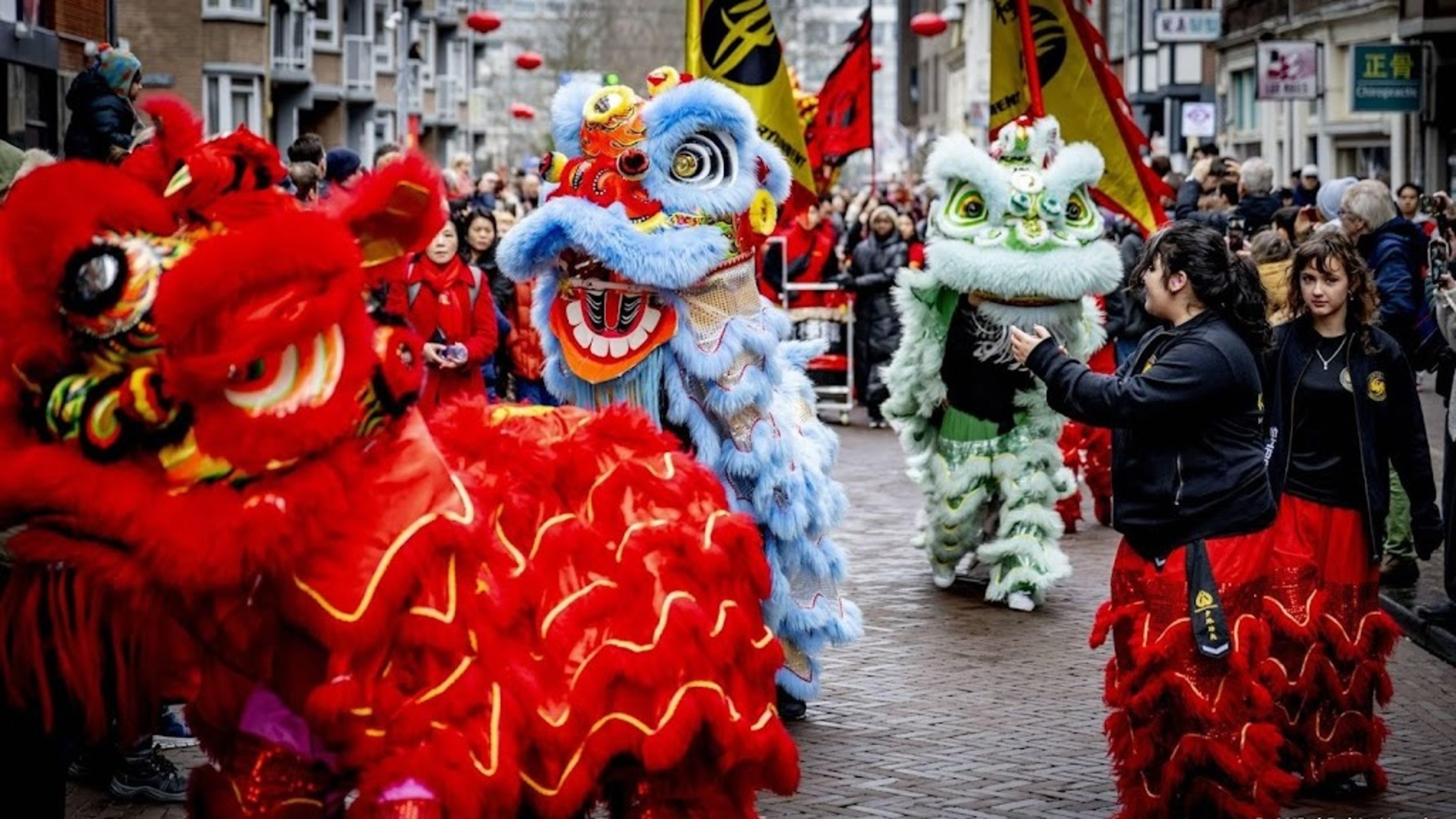 Thousands attend dragon parade in The Hague's Chinatown for New Year