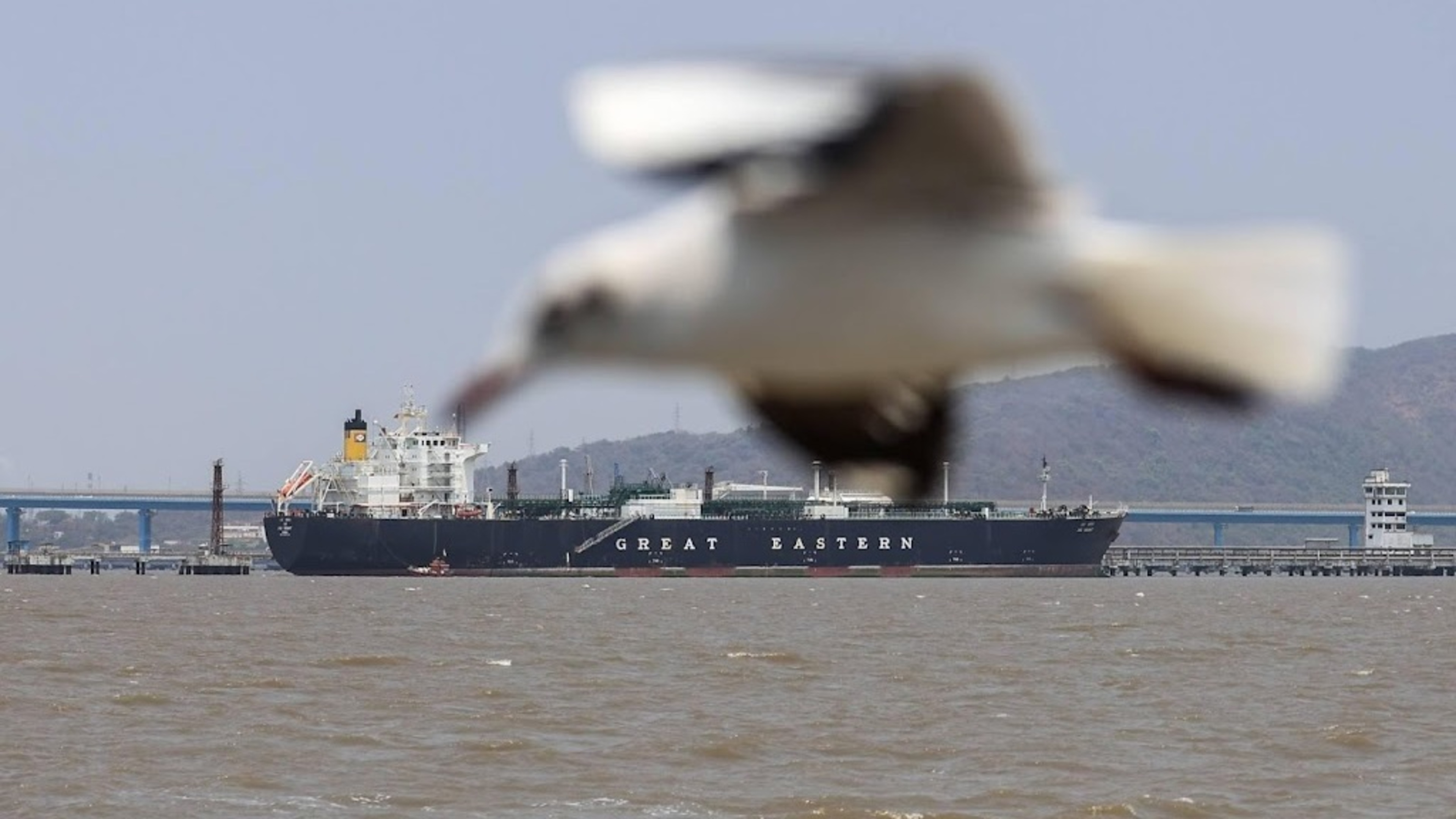 Netherlands and allies to contribute in Strait of Hormuz