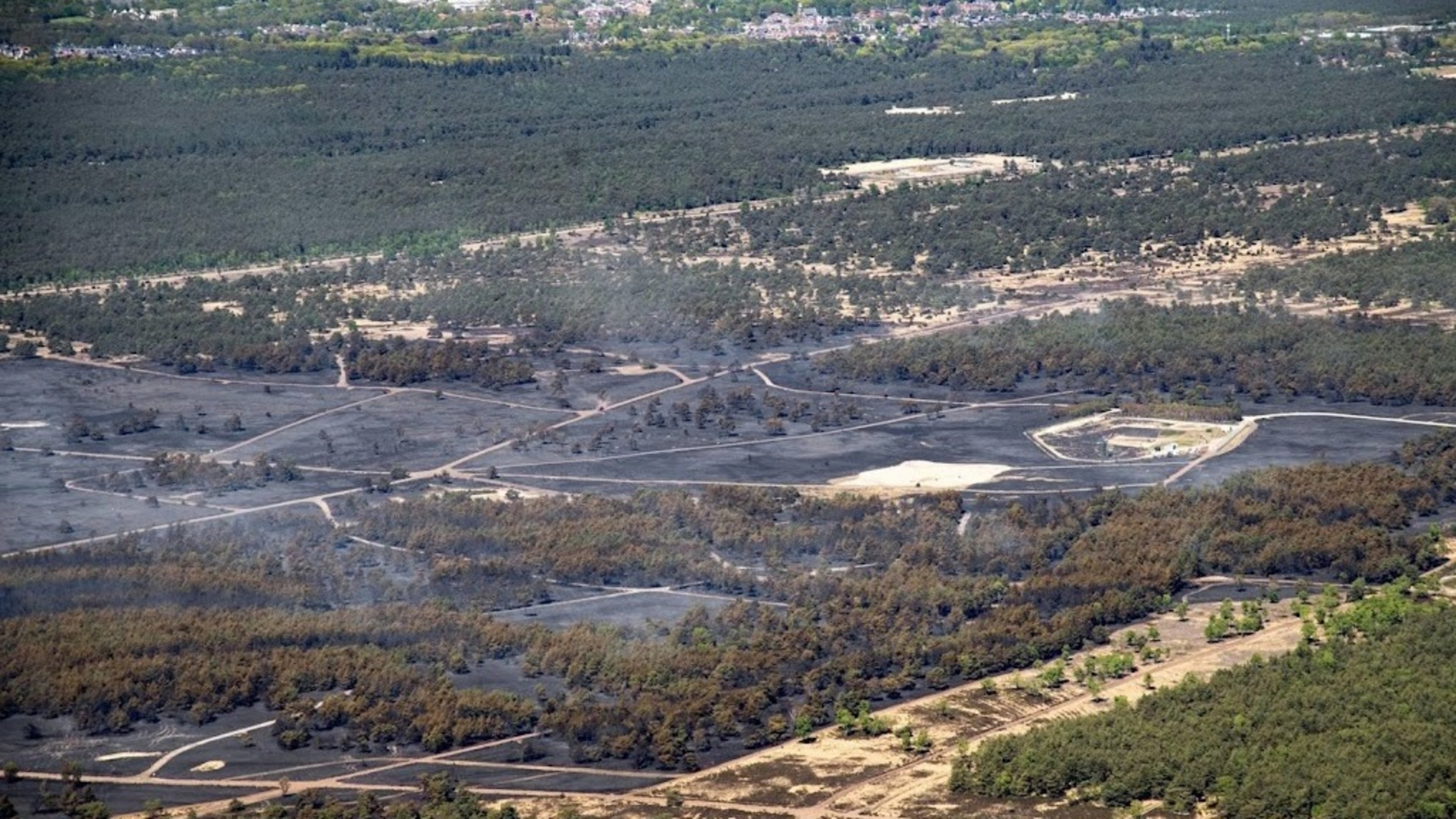 Military exercises in Gelderland suspended due to wildfire risk