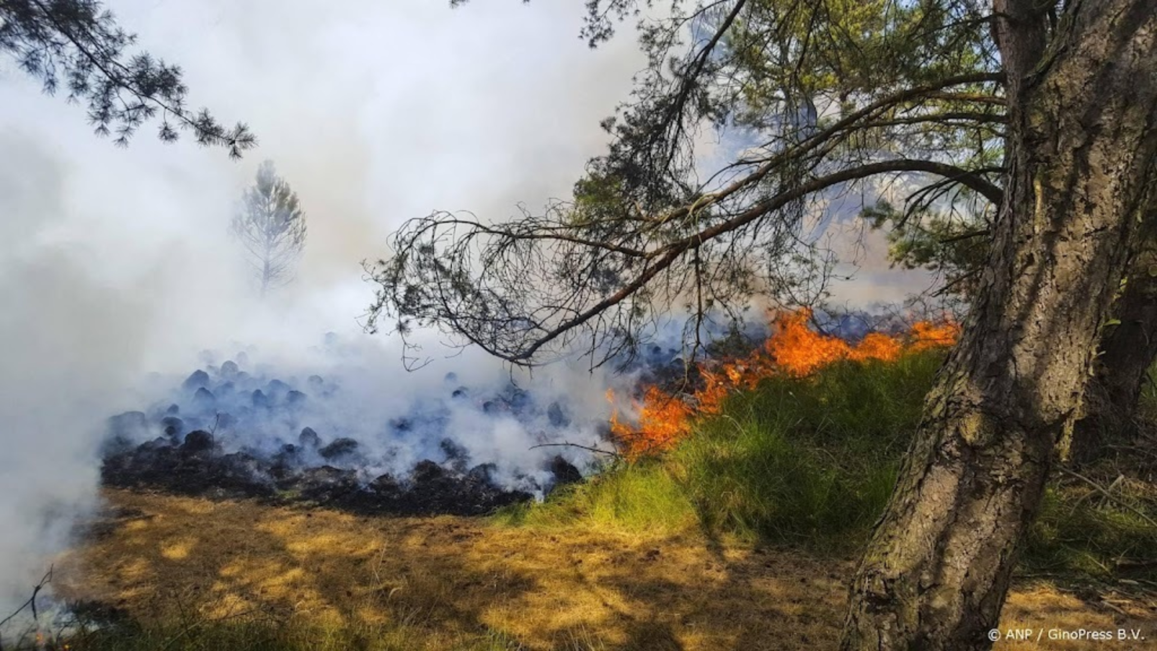 Increasing number of areas at increased risk of wildfires