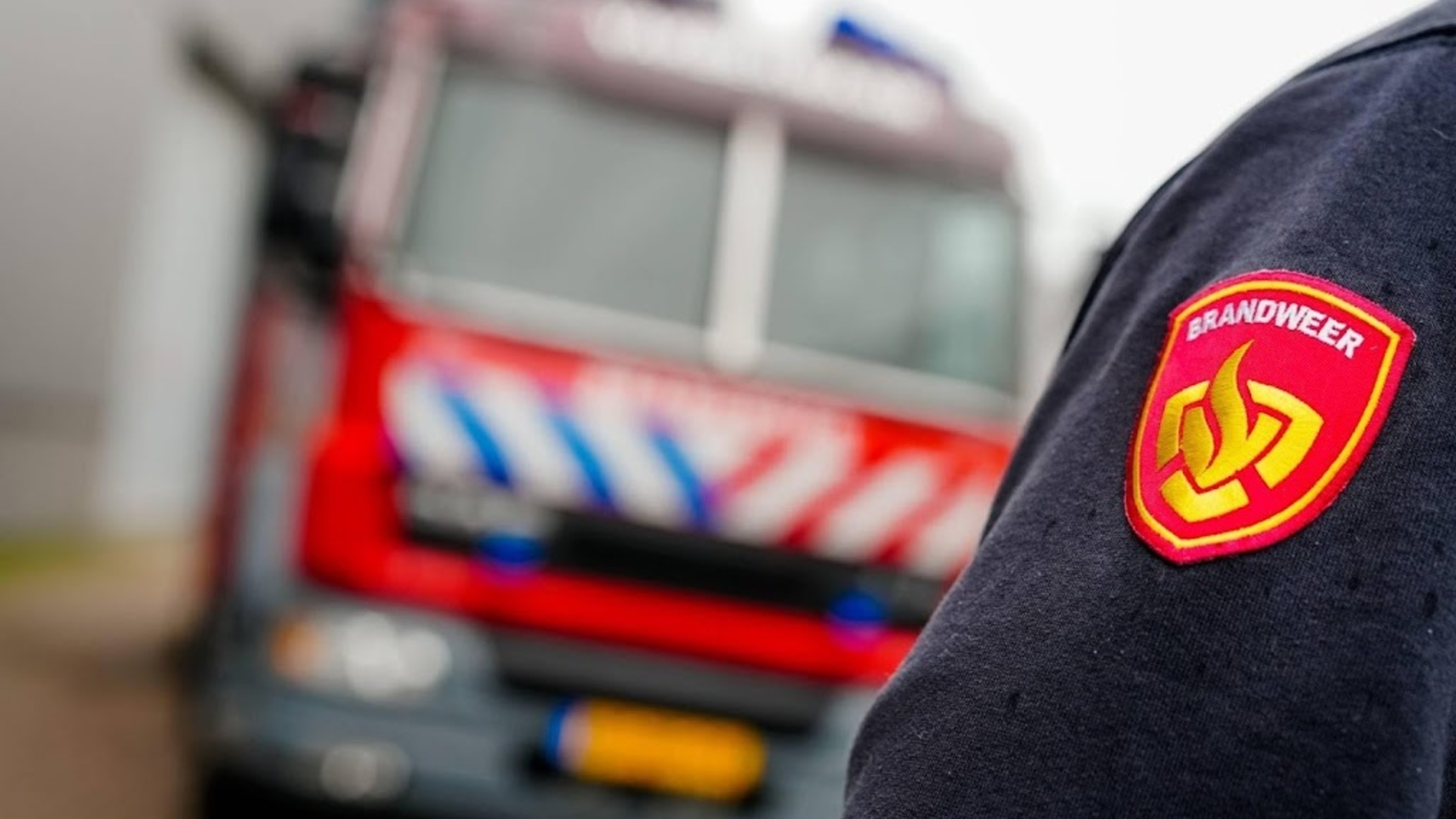 Wildfire in forest near Den Ham in Overijssel