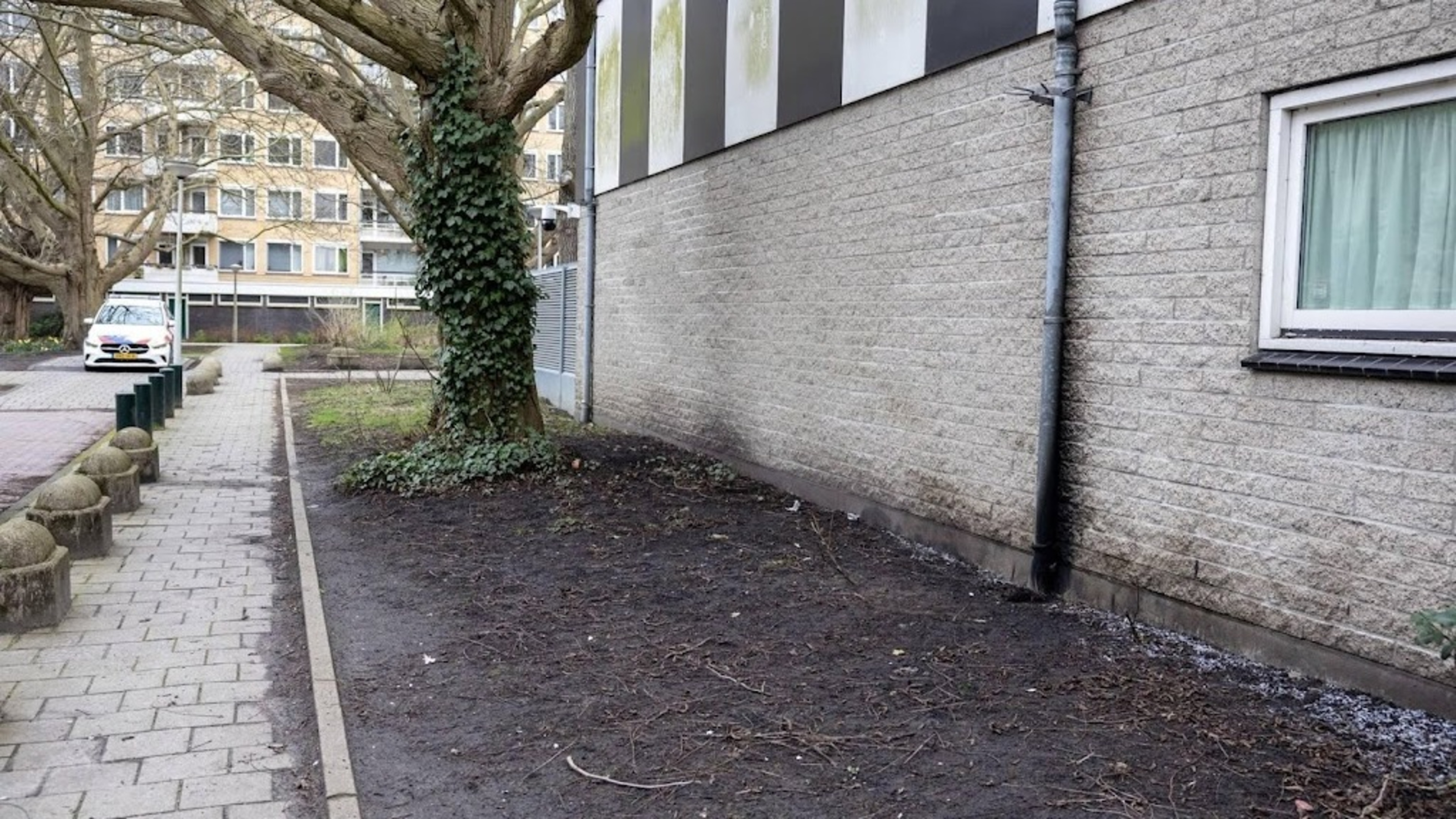 MPs condemn attack on Jewish school in Amsterdam