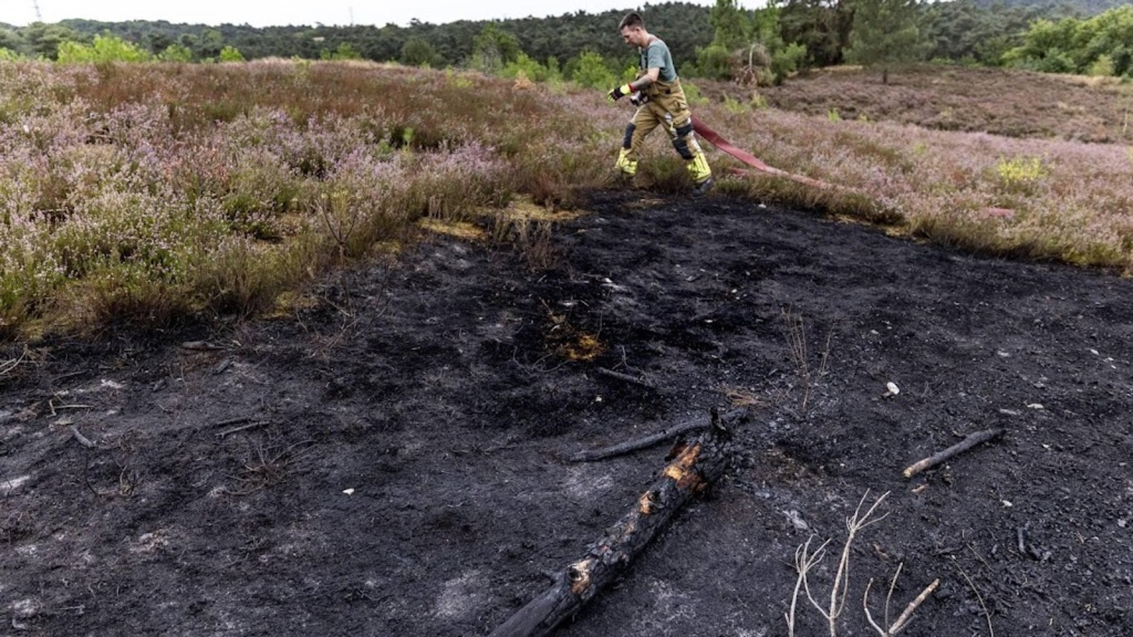 More regions moved to highest wildfire alert level