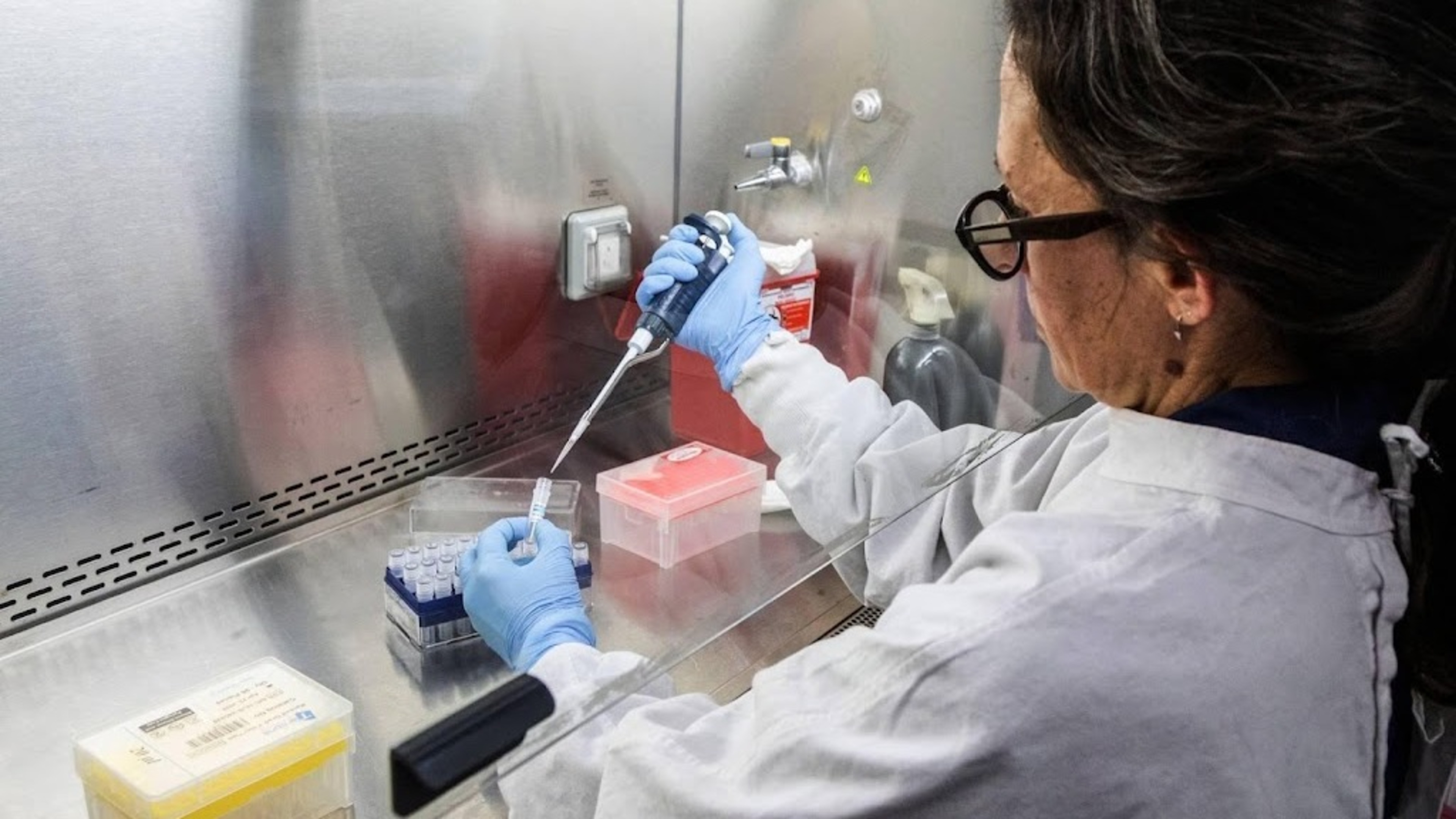 Hantavirus confirmed in two Britons