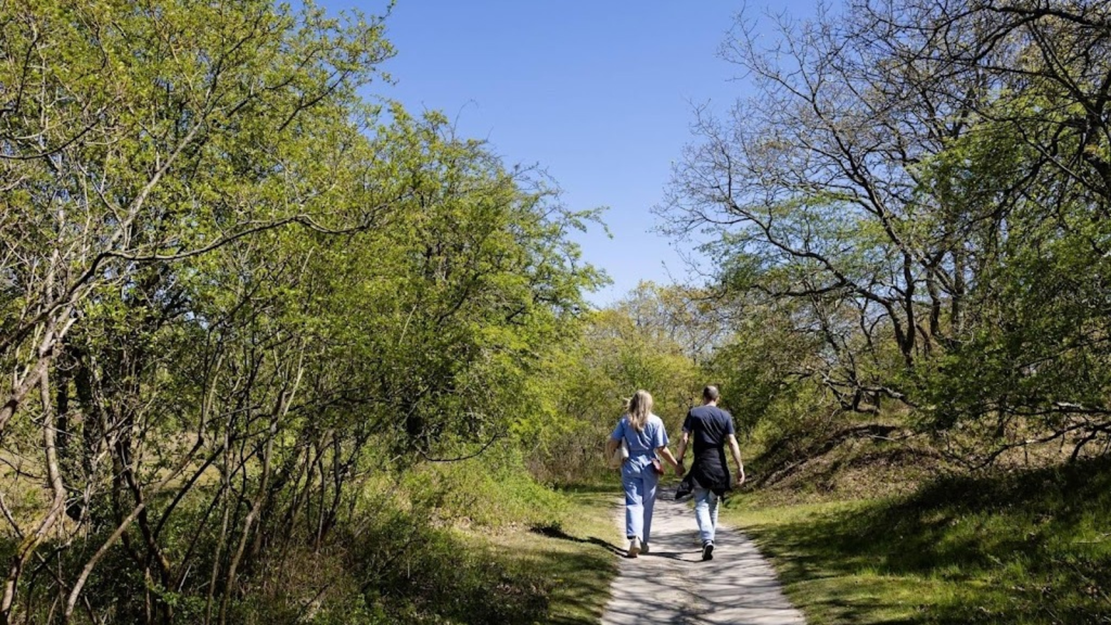 South Holland wants tranquility but also more recreation in Holland Dunes