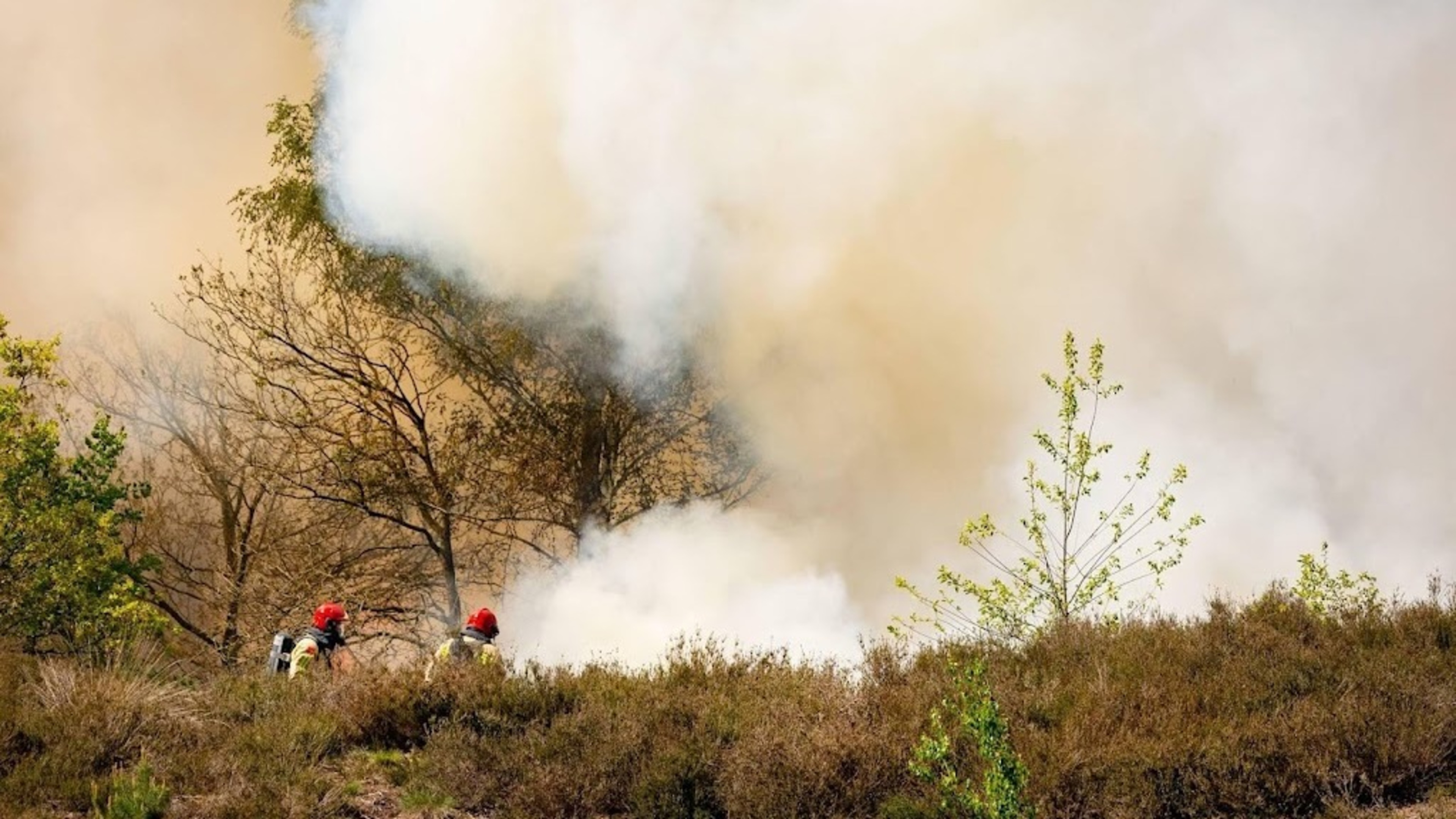 No prosecution for soldiers after Ede and Oirschot heath fires 2025