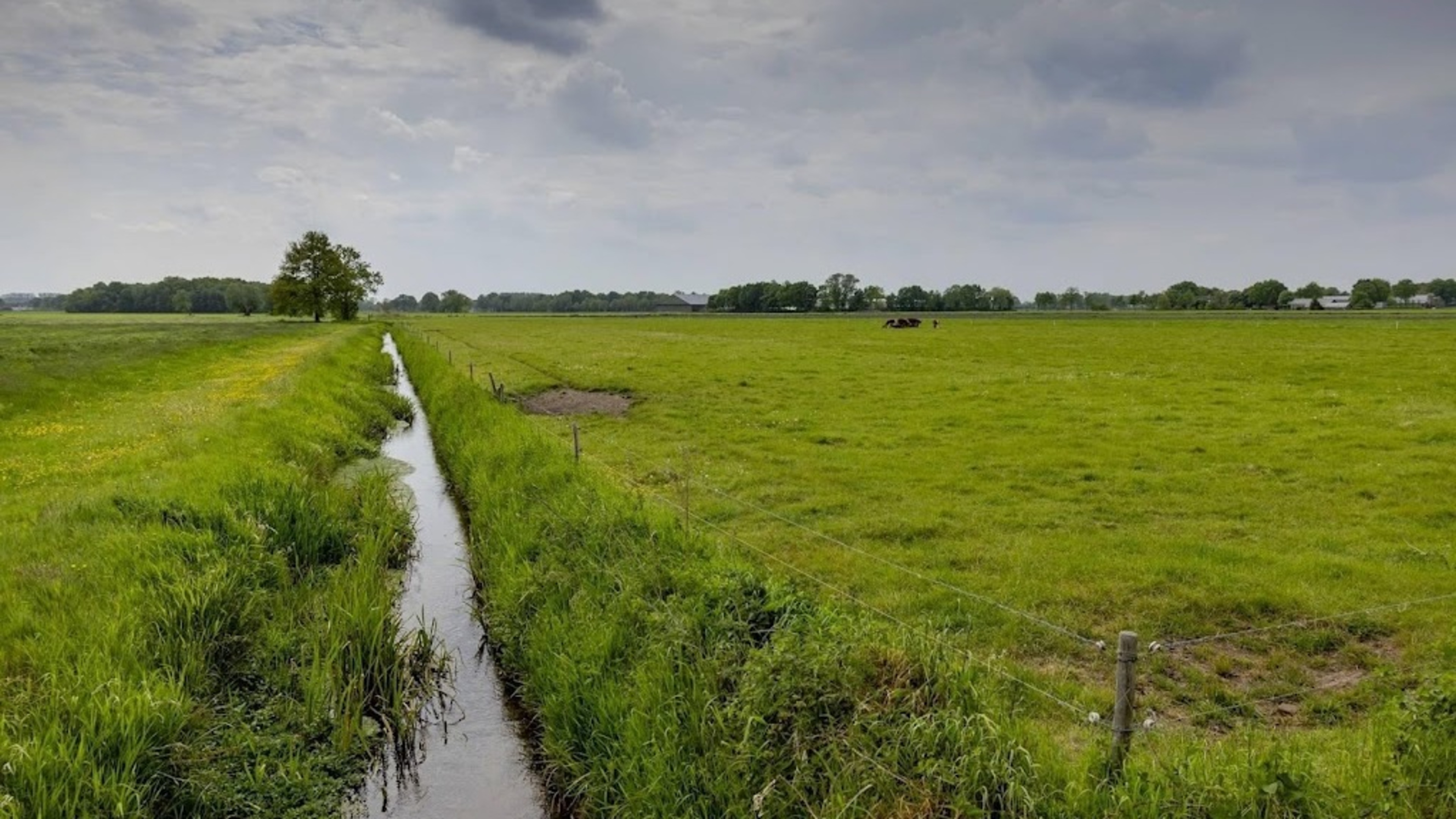 Ban on extracting water from ditches in parts of Brabant due to drought
