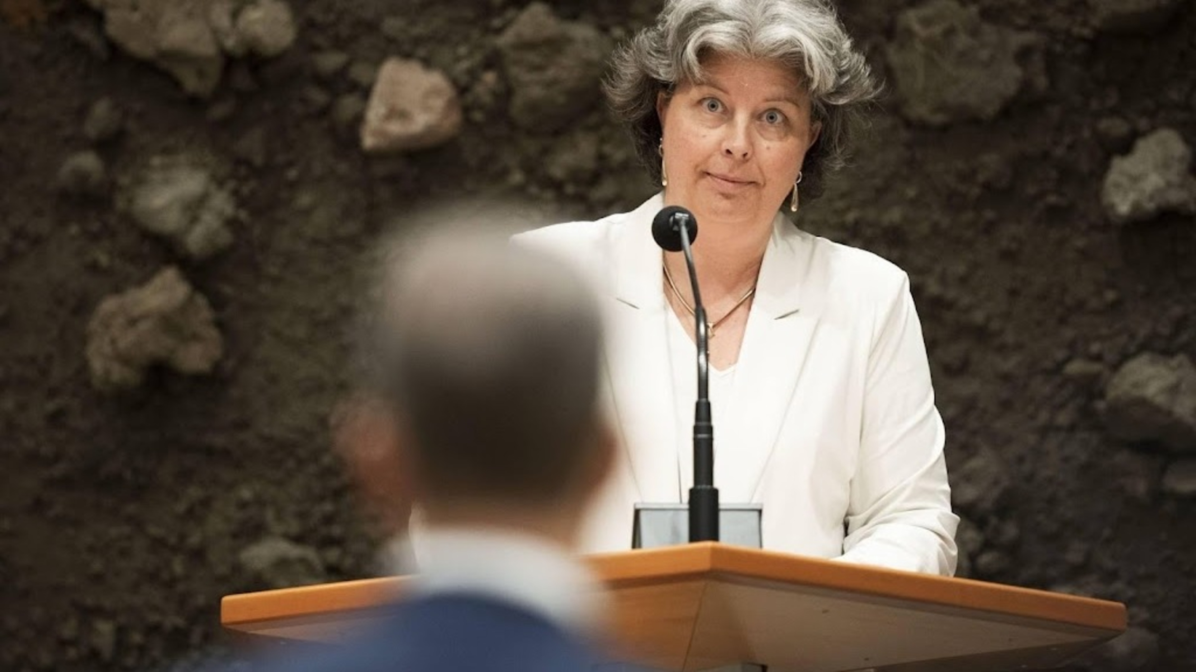 VVD: farmers hit, but also helped by nitrogen plans