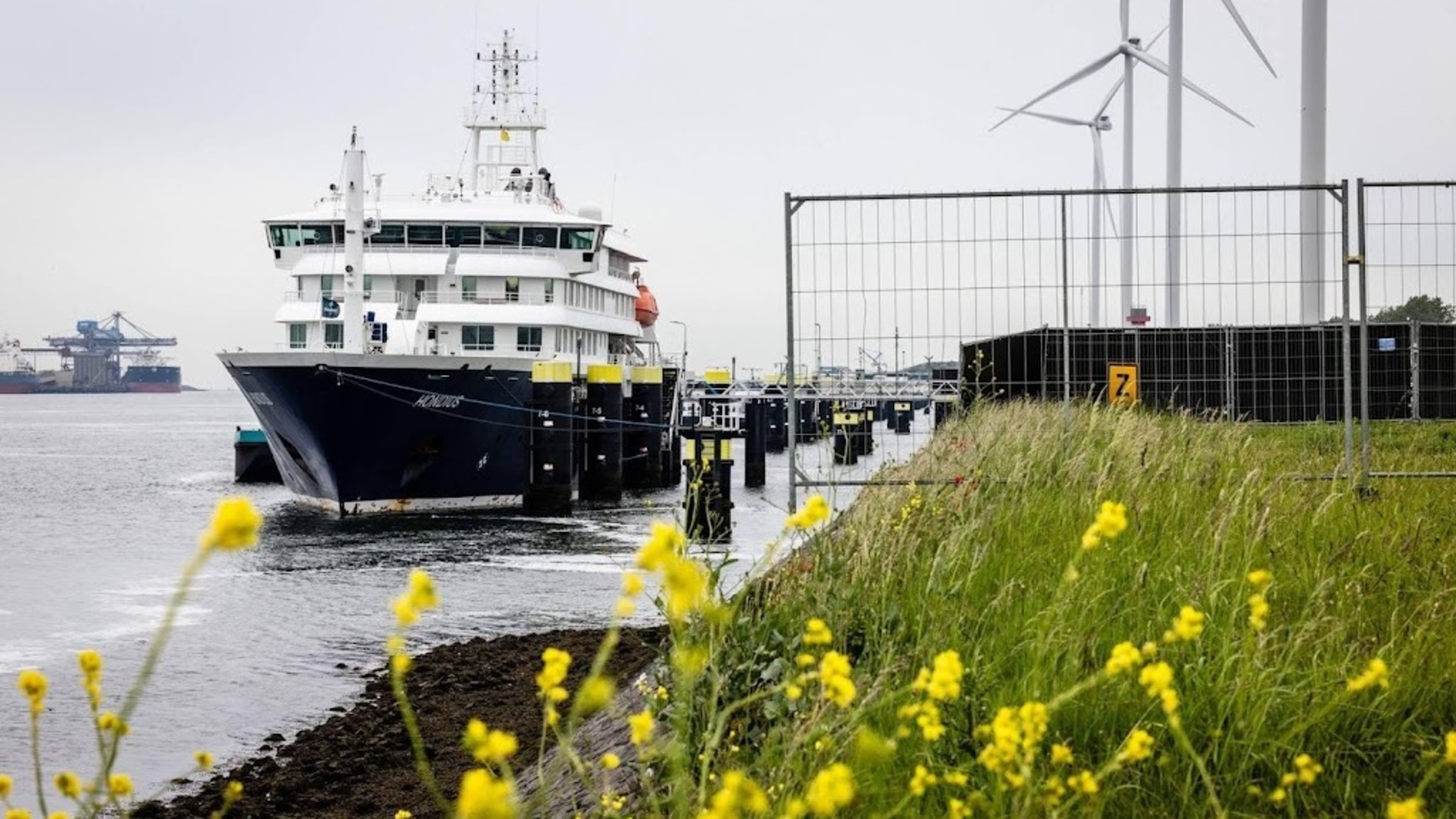 GGD: Cruise ship Hondius clean again after hantavirus