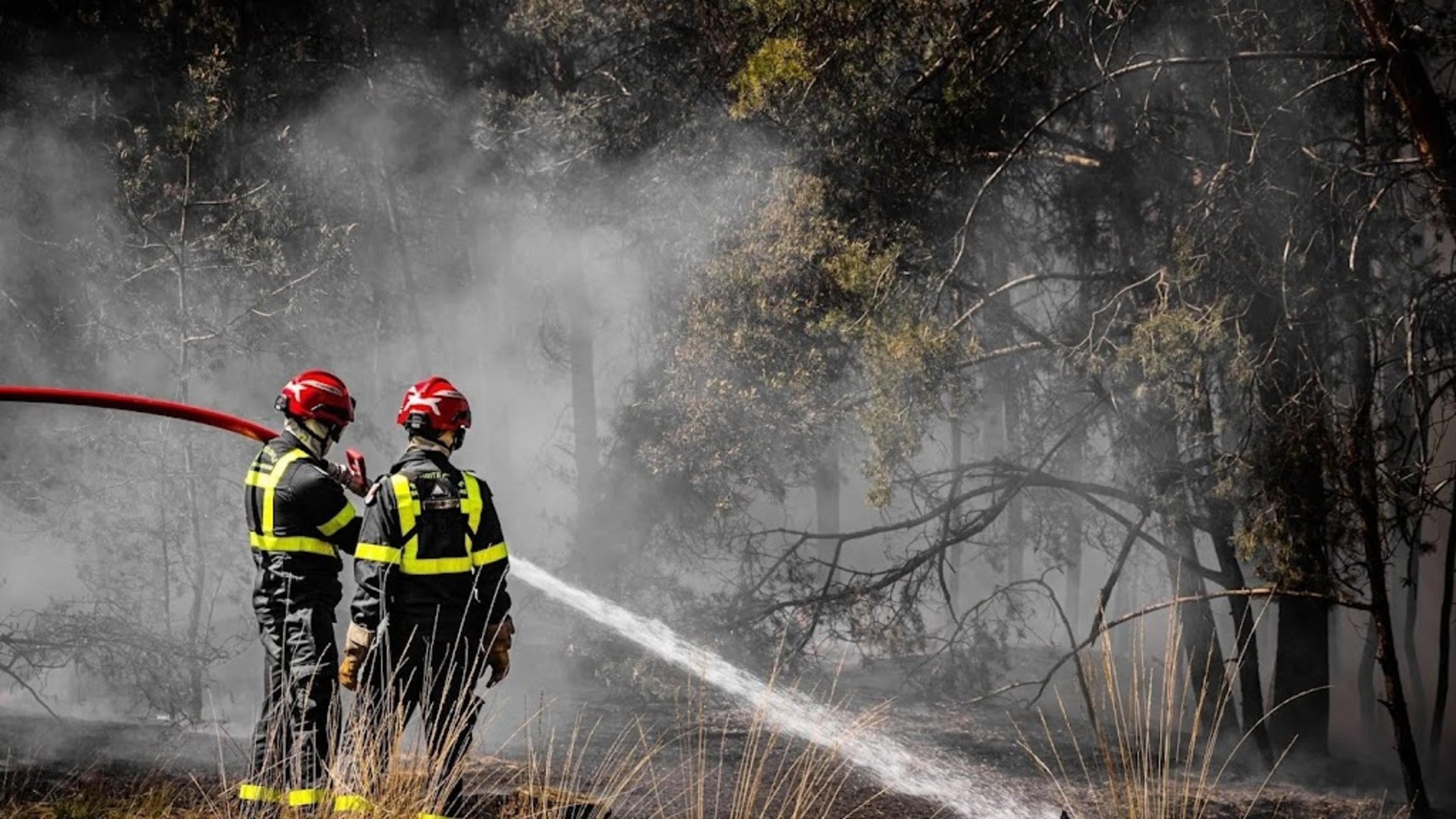 Firefighters extinguish several new forest fires