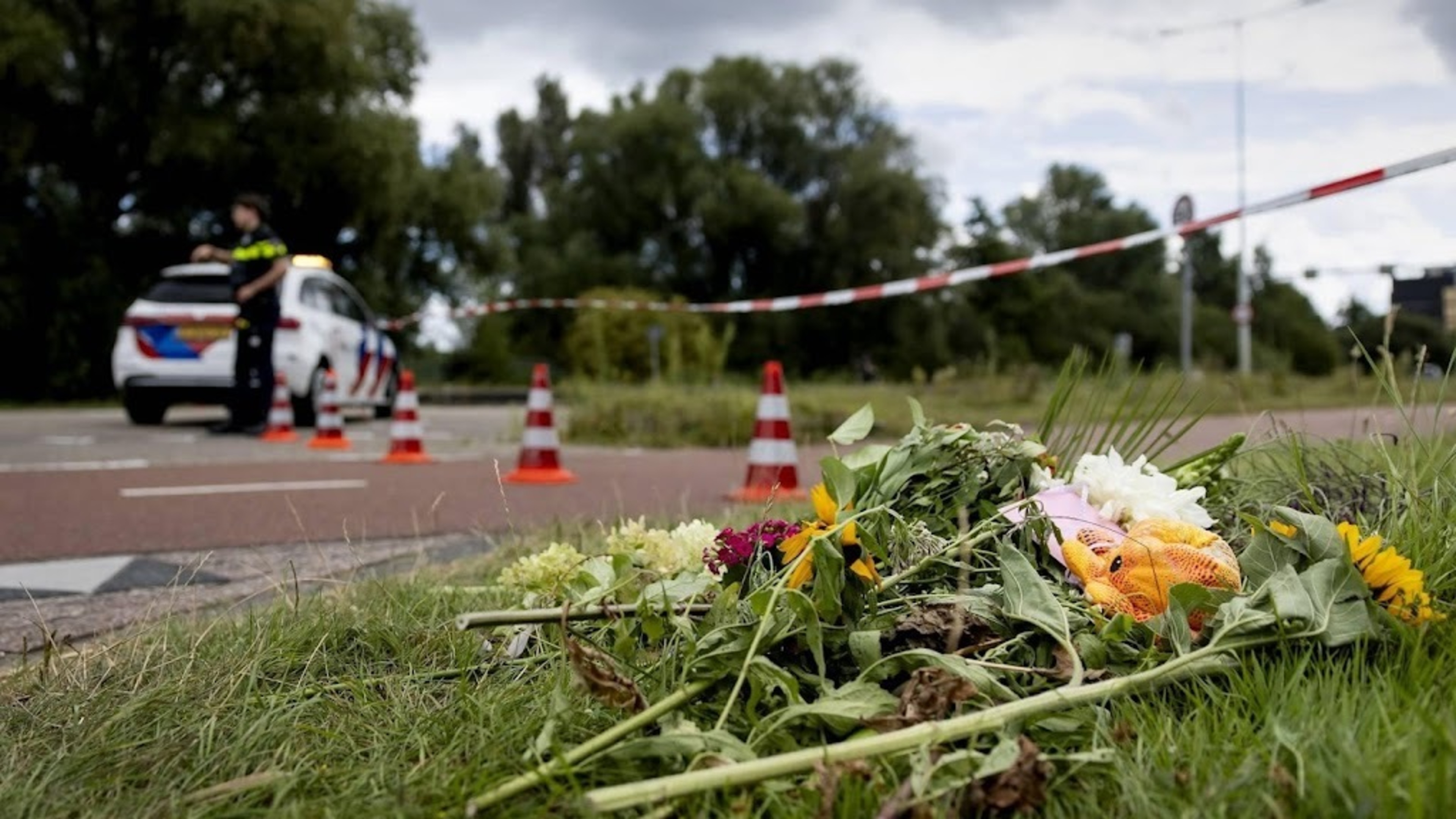 Lisa's family: 'very painful' that 1,700 officers viewed file