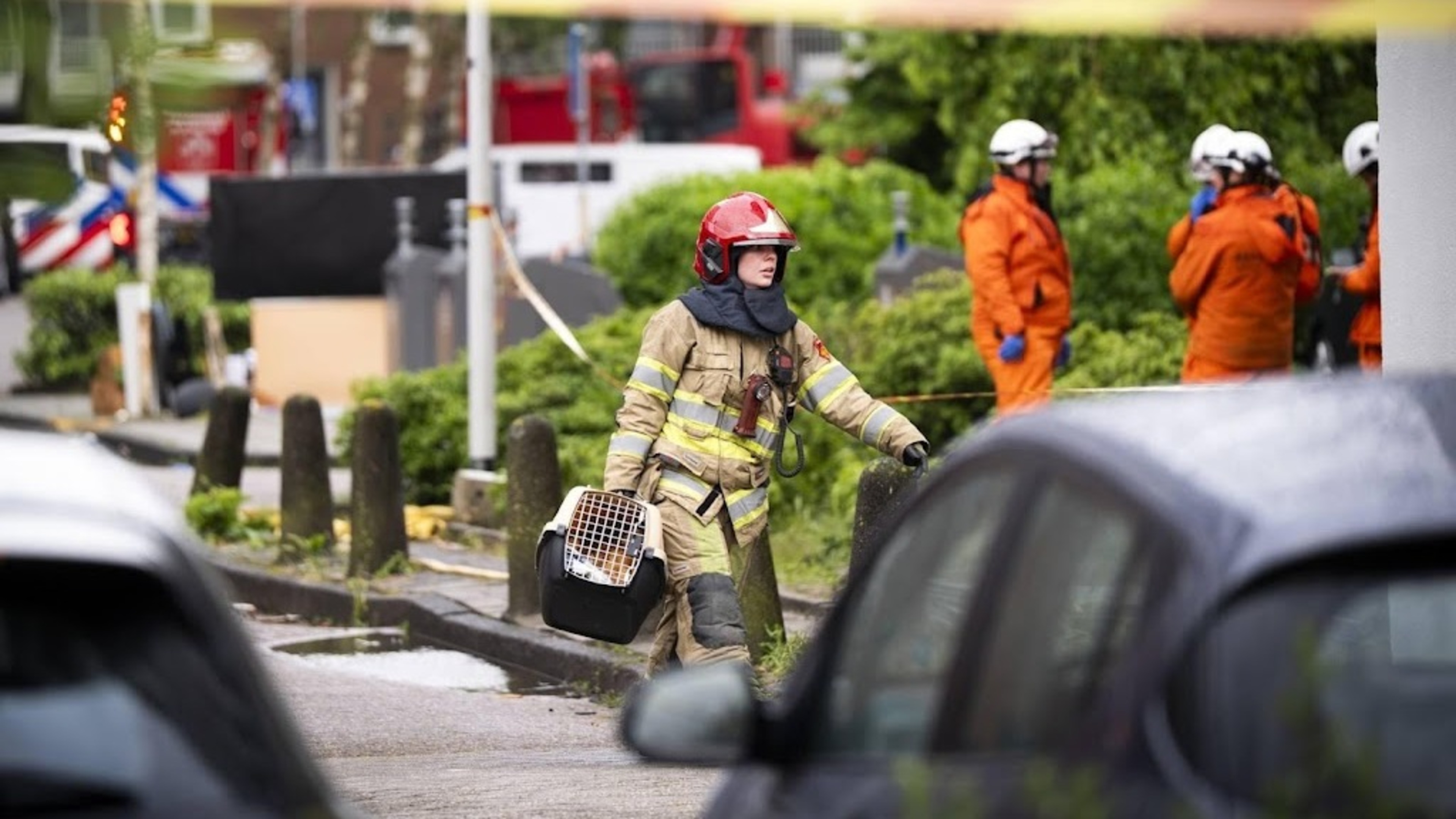 Firefighters rescue cats from Amsterdam apartment explosion