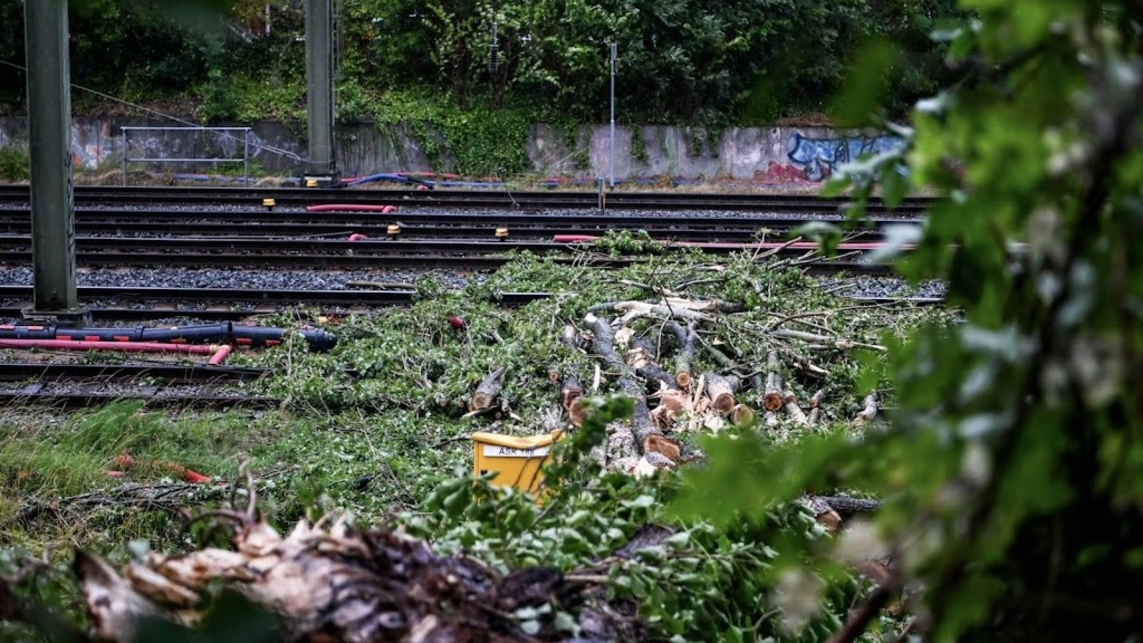 ProRail: storm causes major rail disruption