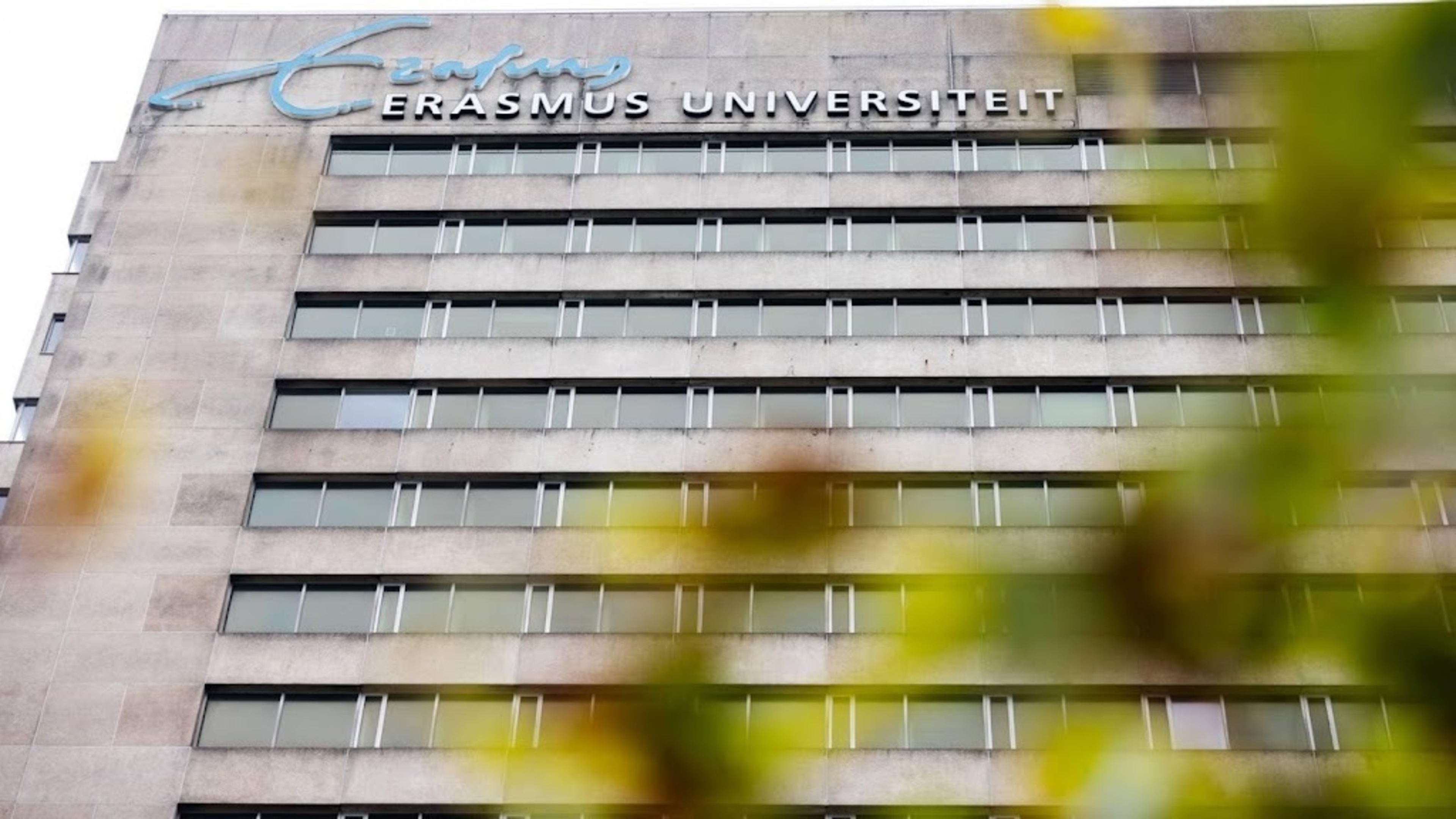 First drop in international students in the Netherlands since 2006