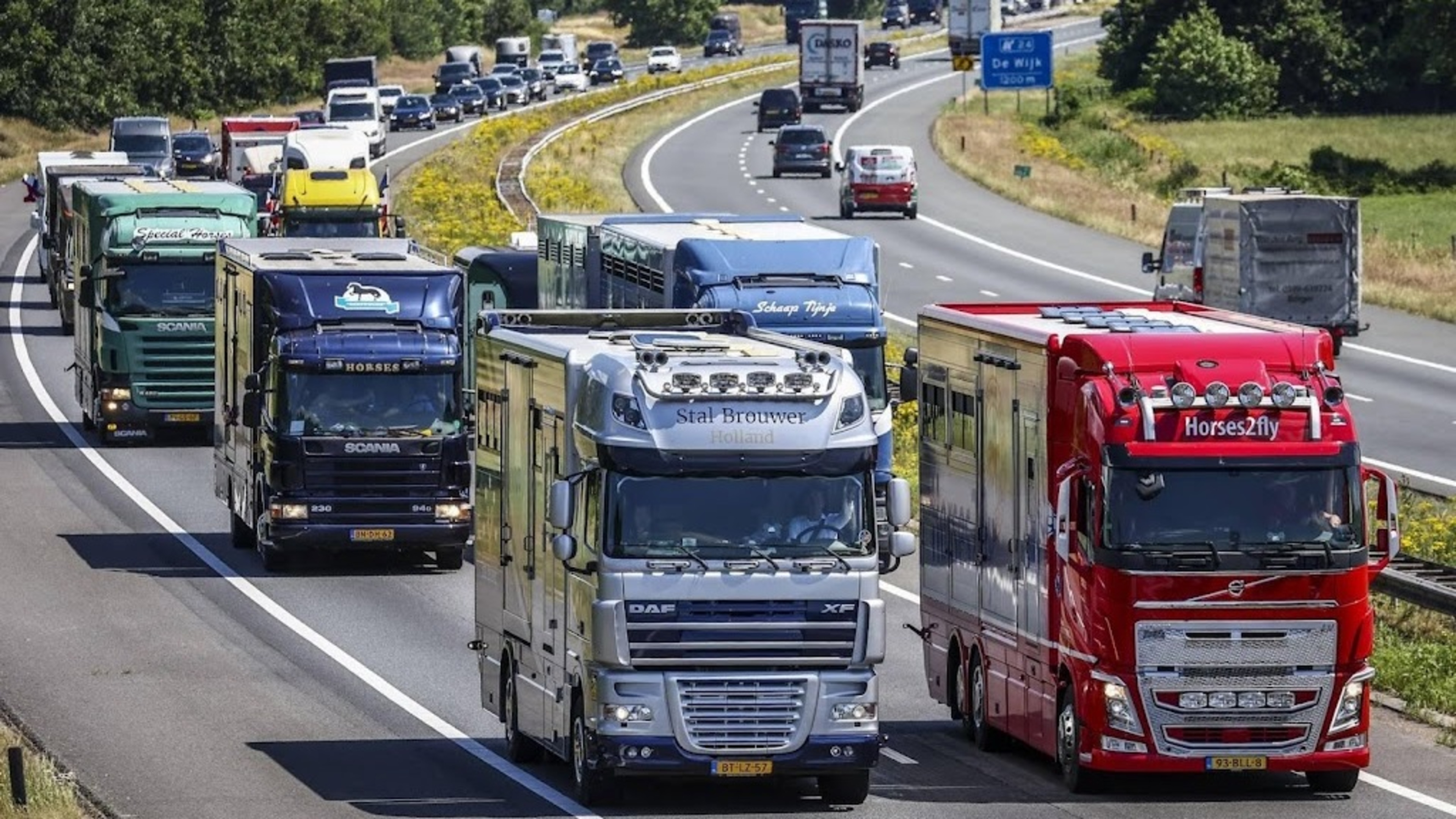 Transport sector dissatisfied with government support package