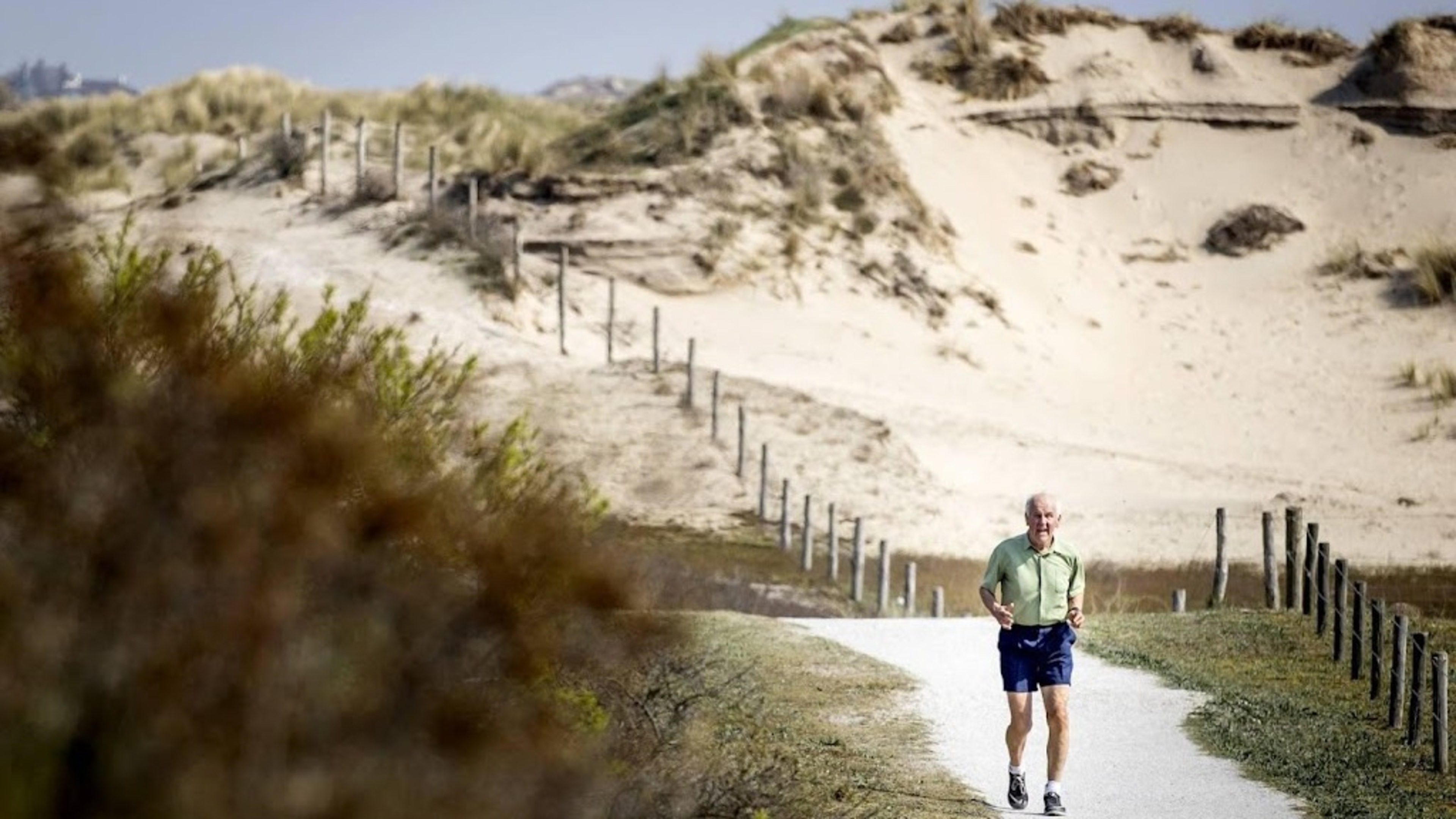 Hollandse Duinen officially becomes a national park