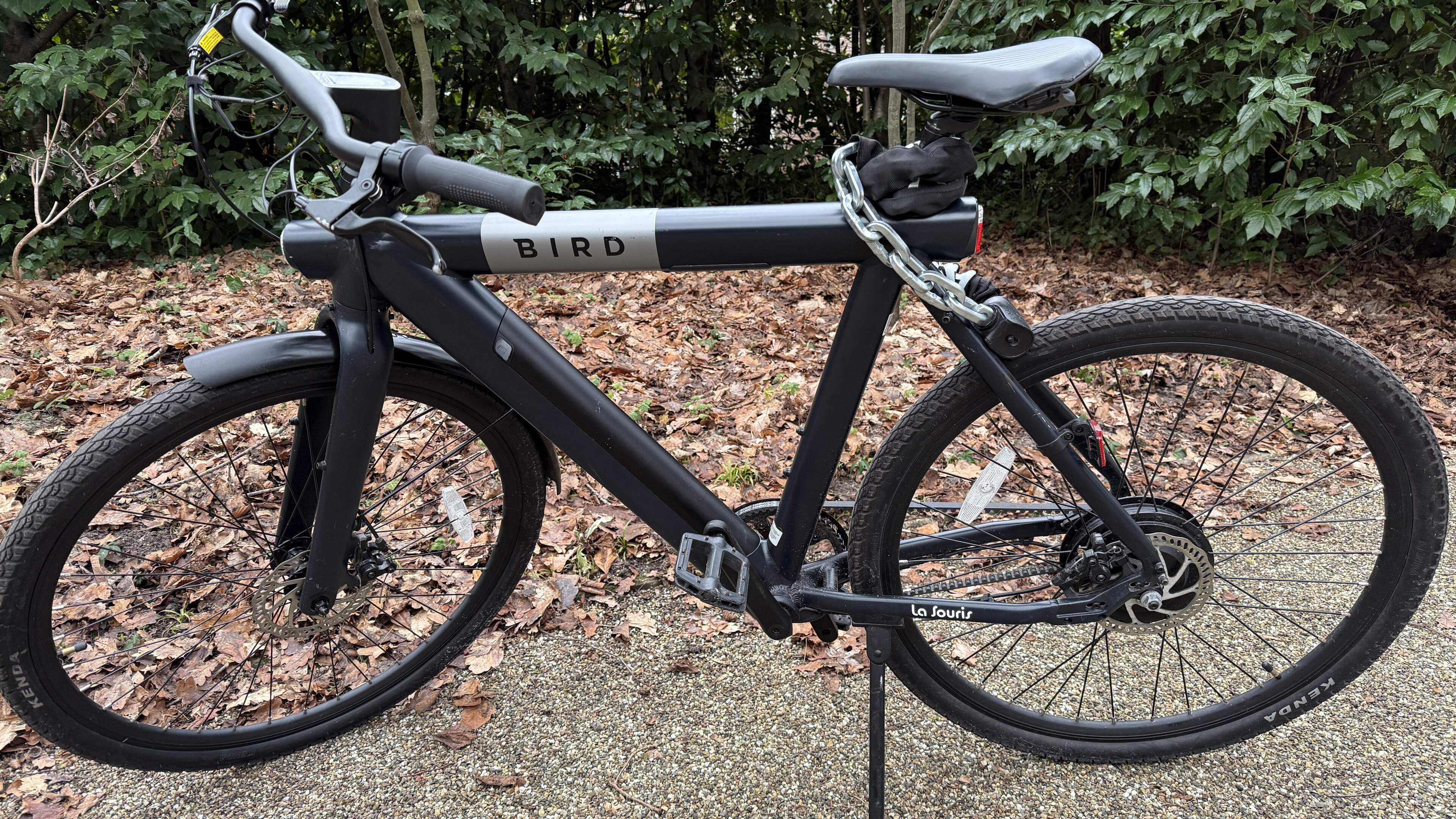 New Bird Bike a source of frustration for mother and son Kas. Bike is mostly out of service for repairs