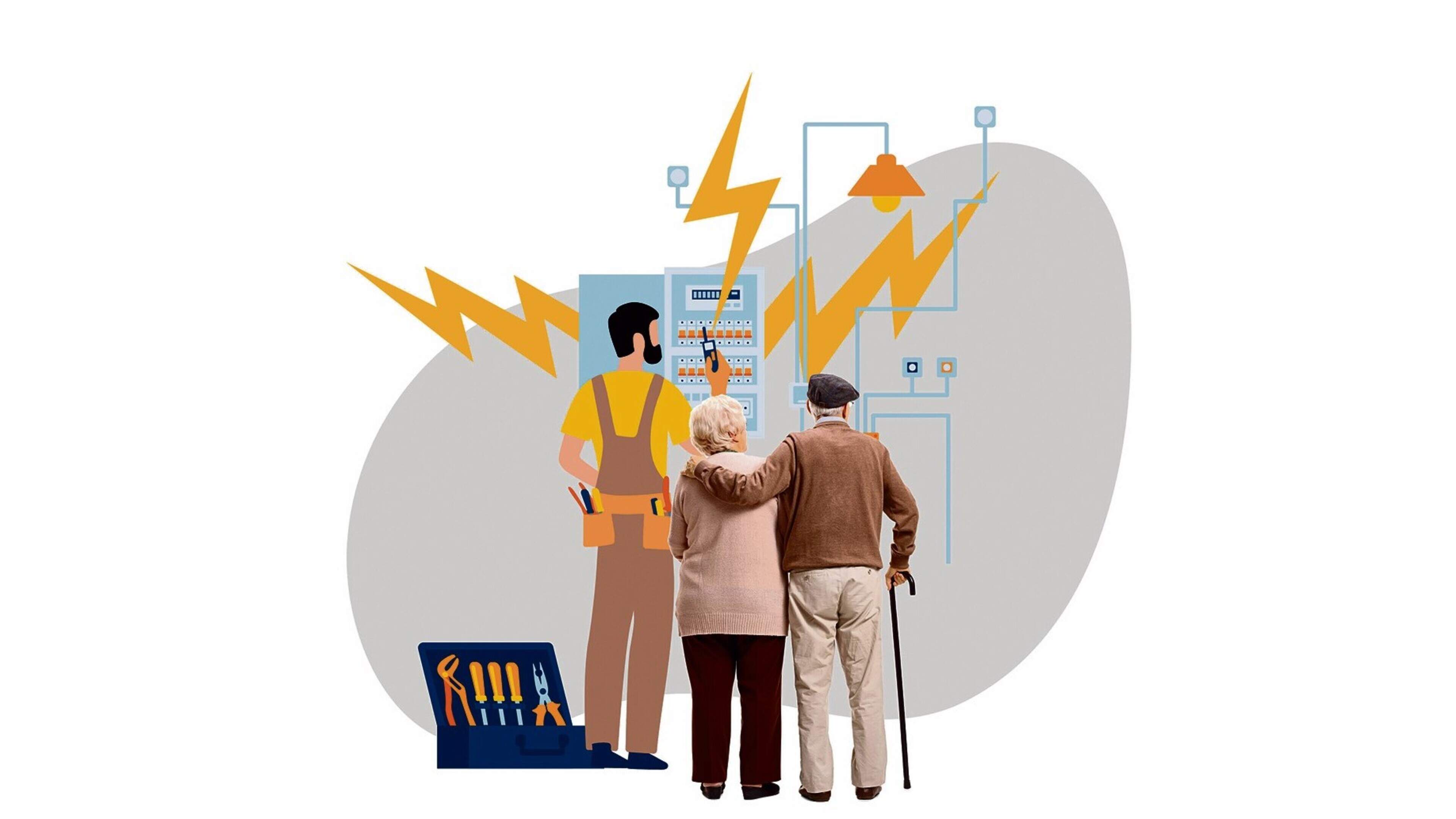 Broken toaster? That will cost you five grand. Scammers of elderly Haarlem couple exposed by Ombudsteam