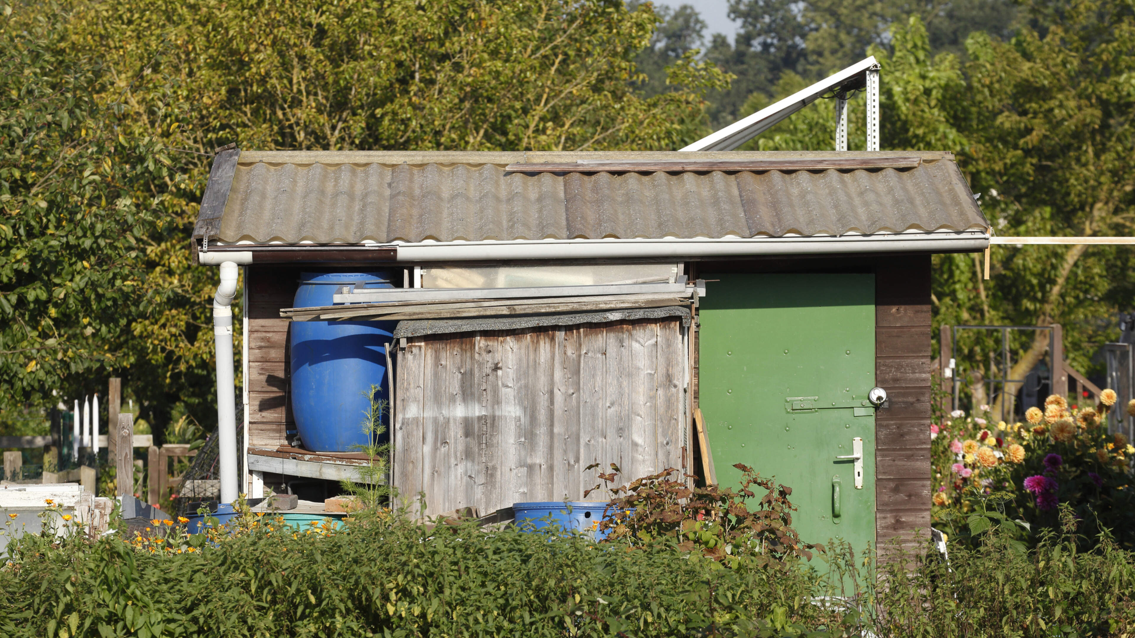 Reader's question: Can the insurer just cancel my building insurance?