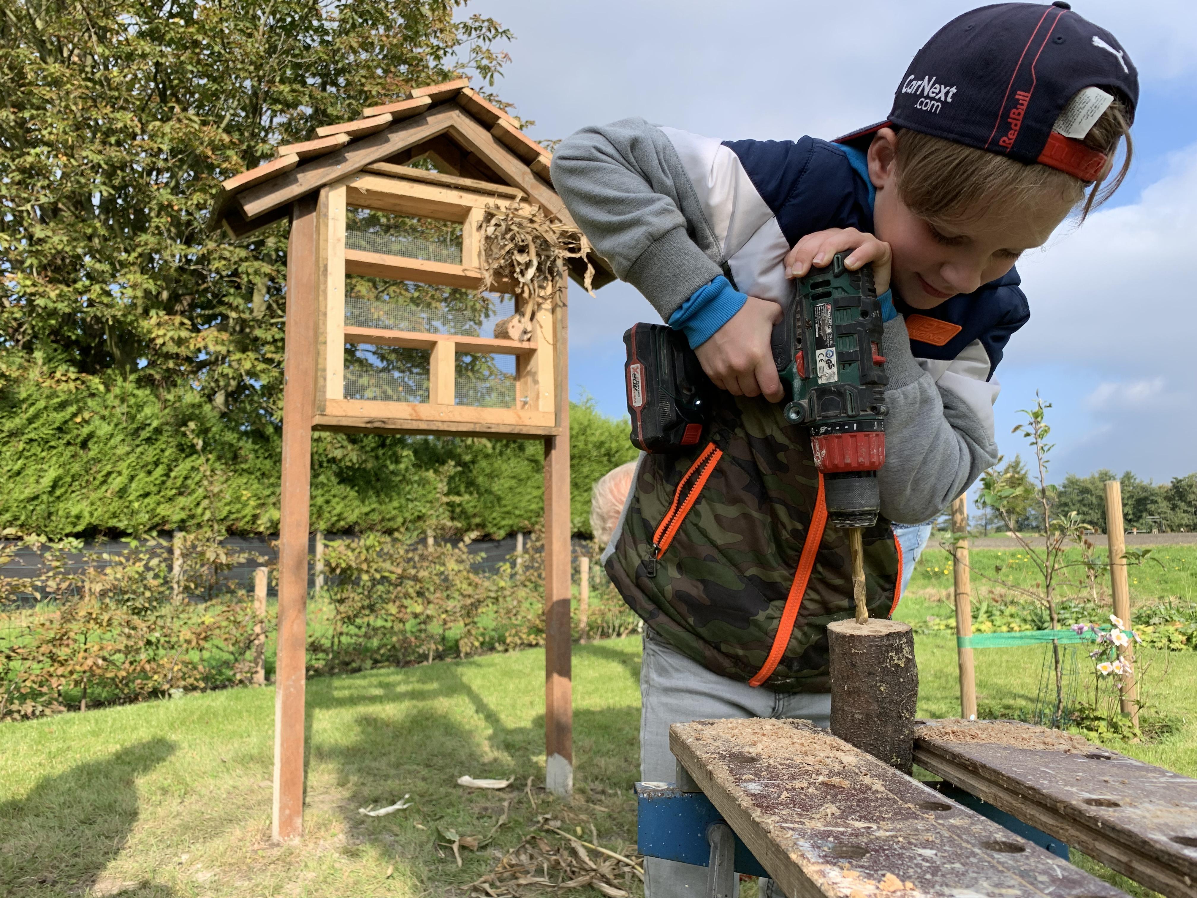 Bewoners Zwaagdijk-West gaan aan de slag: ’rietwoestijn’ wordt groen dorpspark