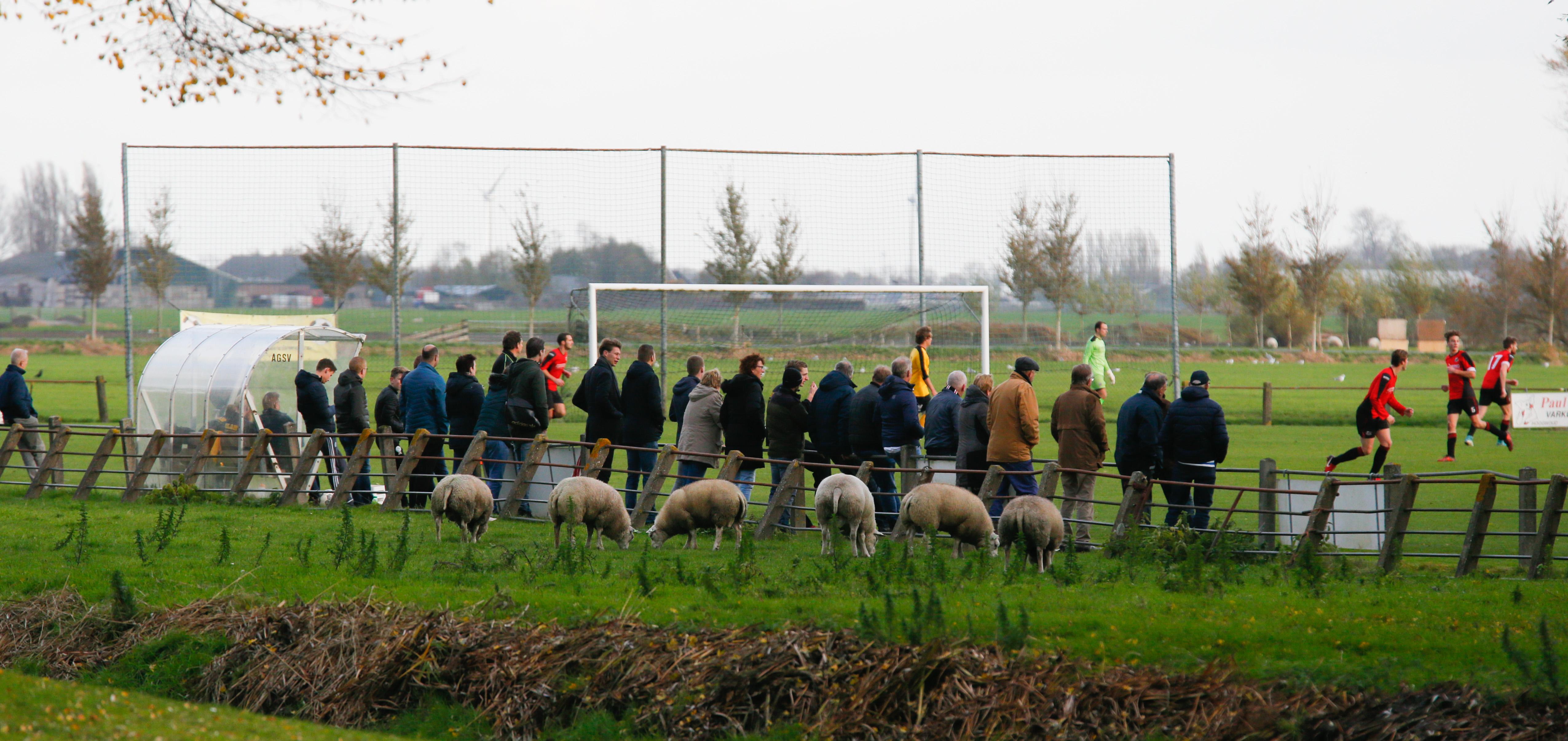 ’Net als het Romeinse rijk is het lastig AGSV weer op te bouwen’. UItgerekend Bij 75-jarig bestaan h