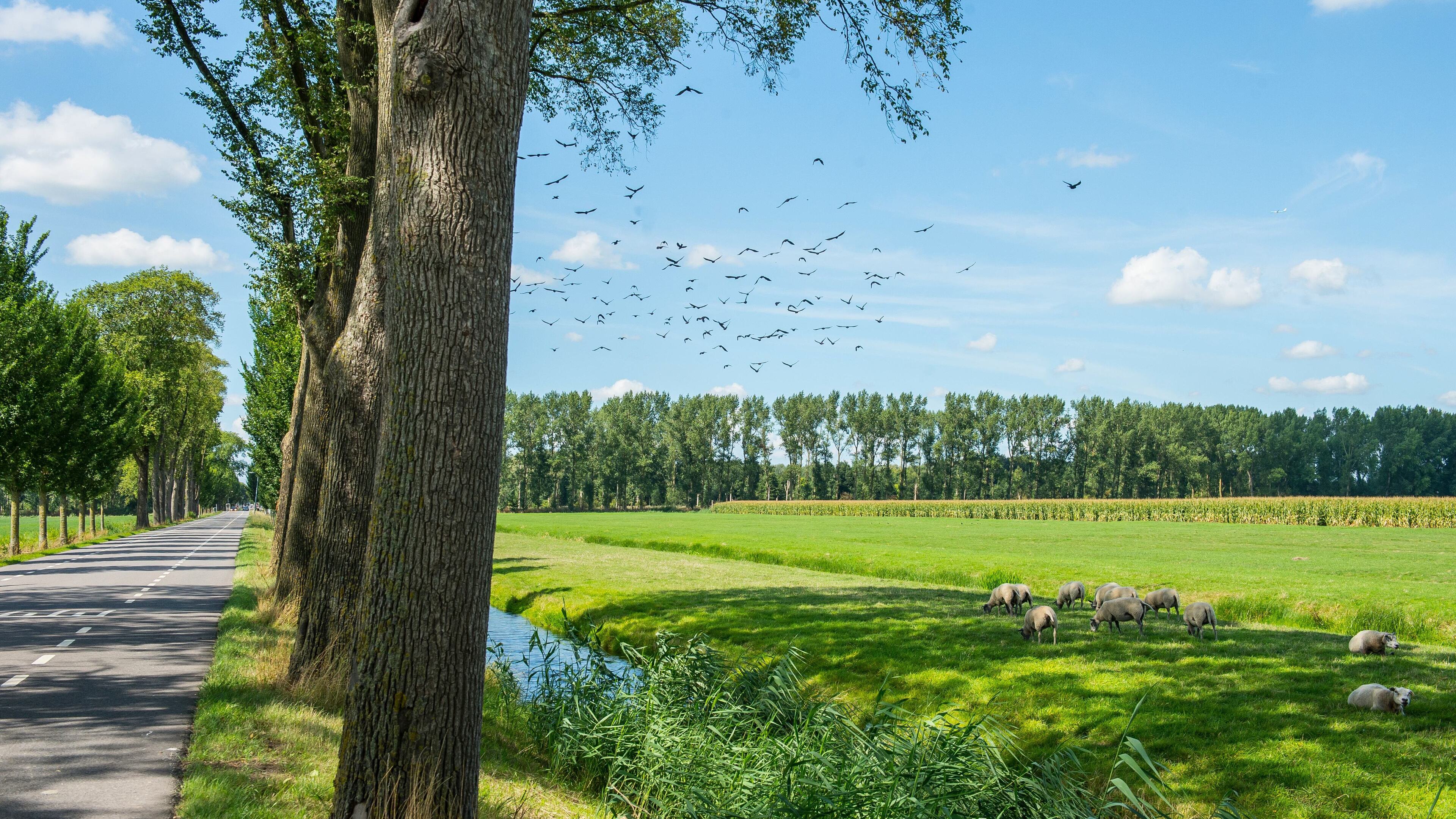 ’Gebied mag geen speculatieobject meer zijn voor projectontwikkelaars’