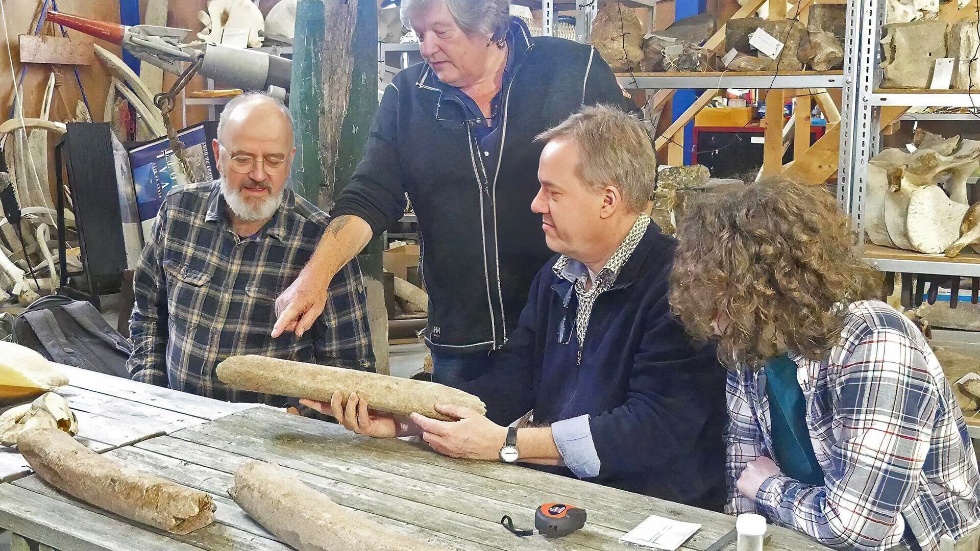 Beschilderde walvisrib van vóór 1580 stelt onderzoekers voor raadsels ...