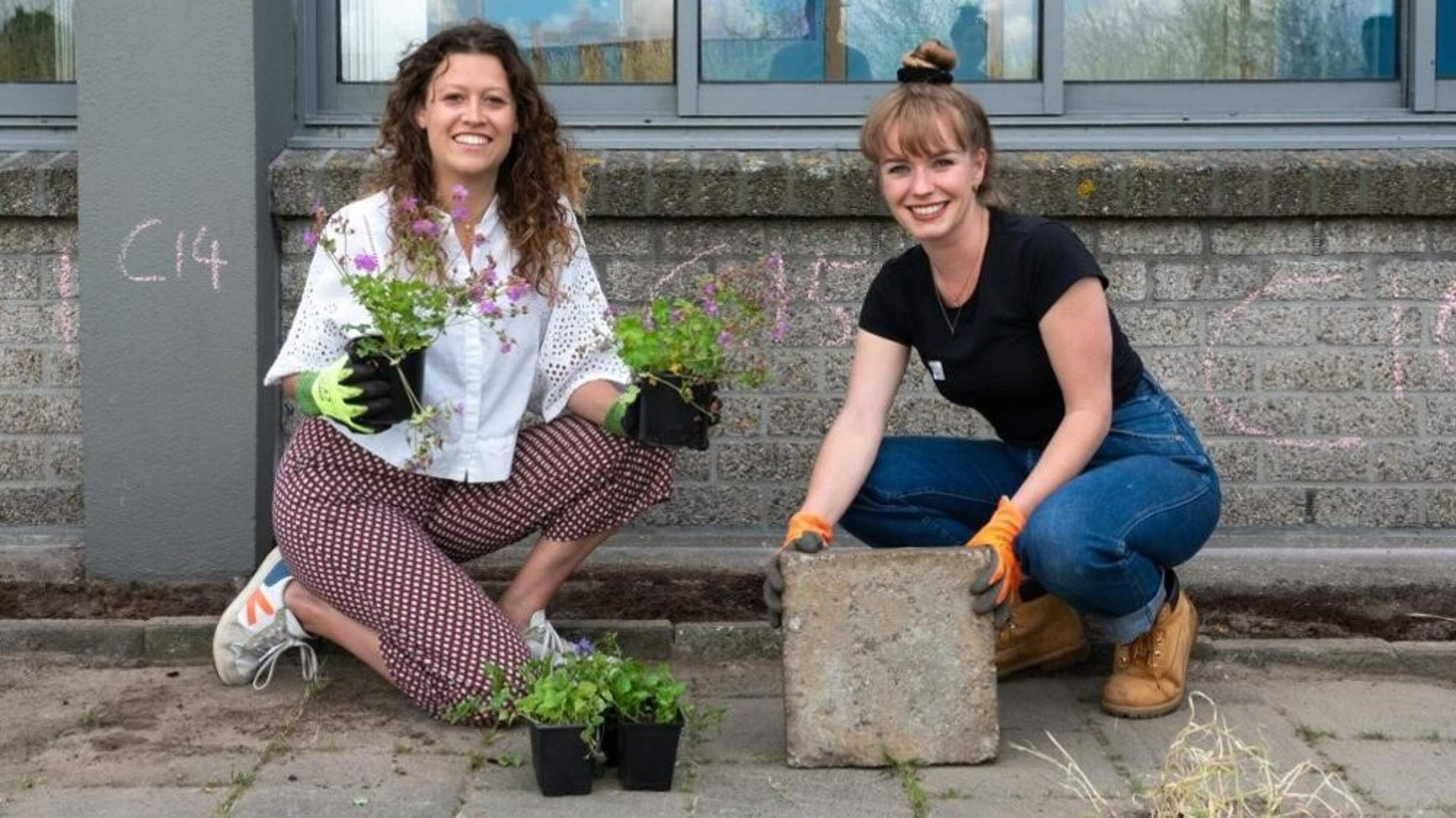 Fighting heat stress? Remove the stones from your garden