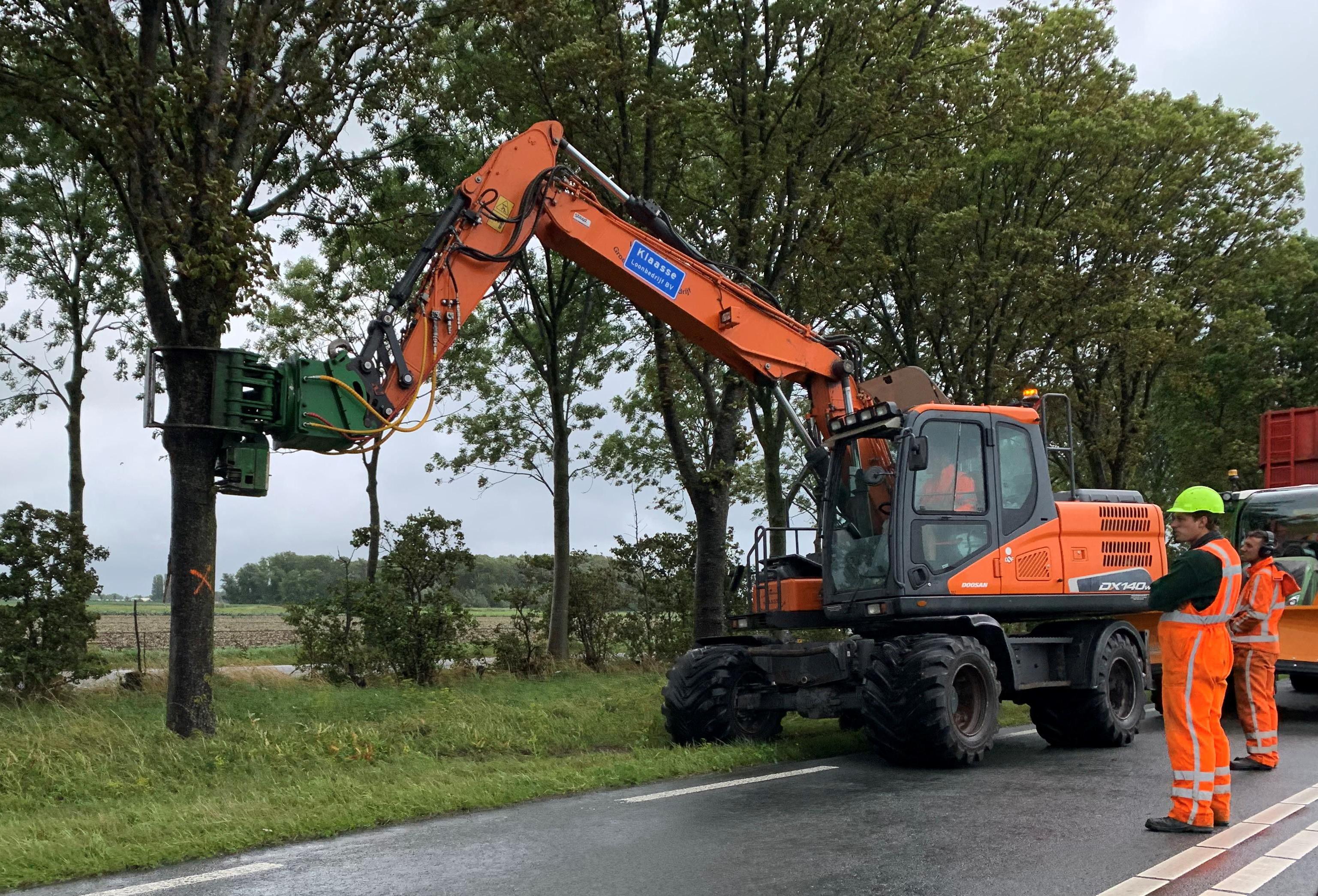 Stuk voor stuk worden de ’onveilige’ iepen langs de Markerwaardweg bij Zwaagdijk-Oost onderaan de st