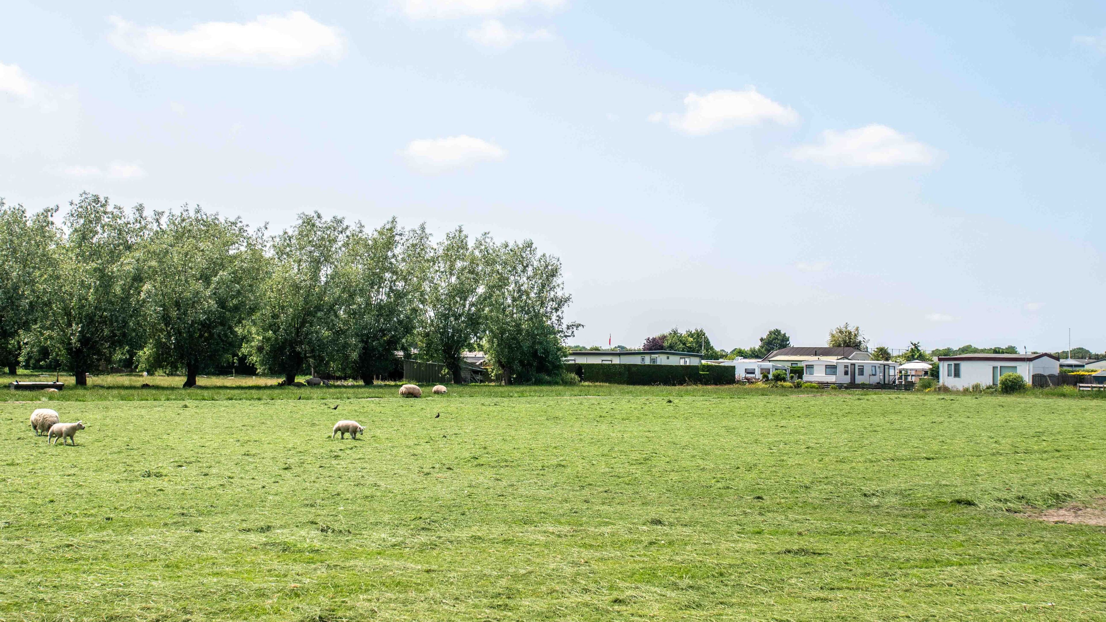 Petitie tegen woningbouw in kernen van Niedorp en Winkel. ’Focus moet worden verlegd naar buitengebi
