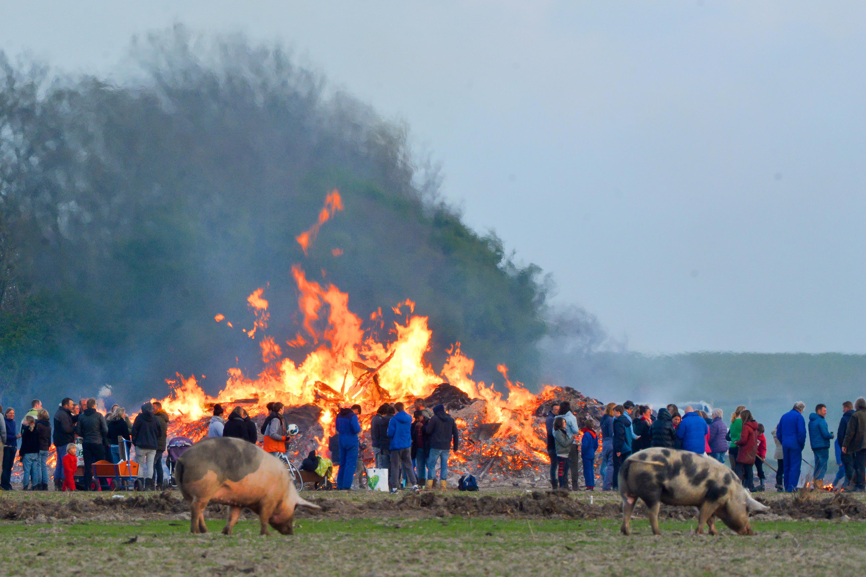 Voor het eerst sinds 2019 weer een gezellige avond rond de meierblis. Texelaars houden de naam van ’