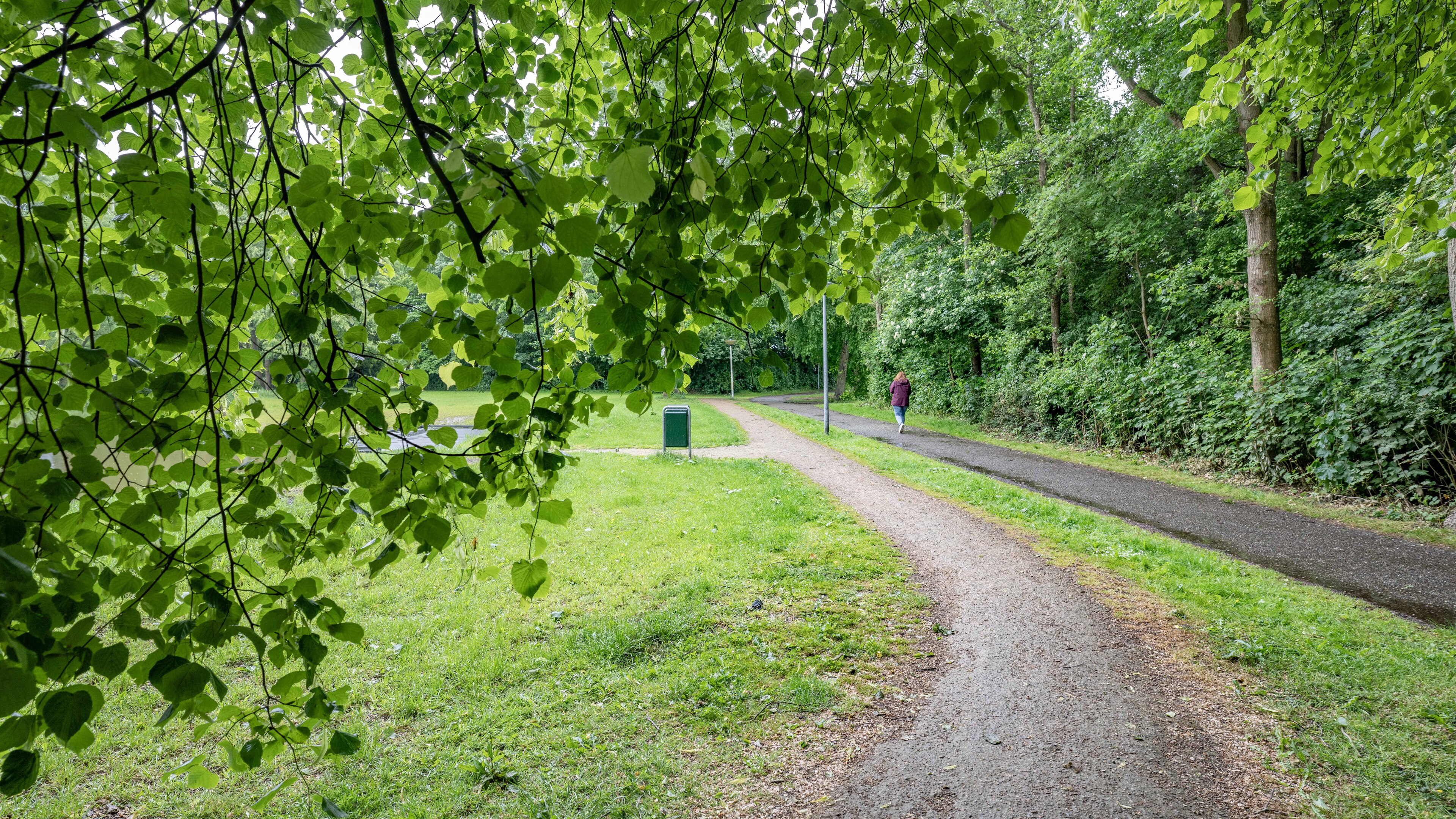 De parken van Hollands Kroon zijn verhard met omstreden Graustabiel, wegverharder gemaakt van staals