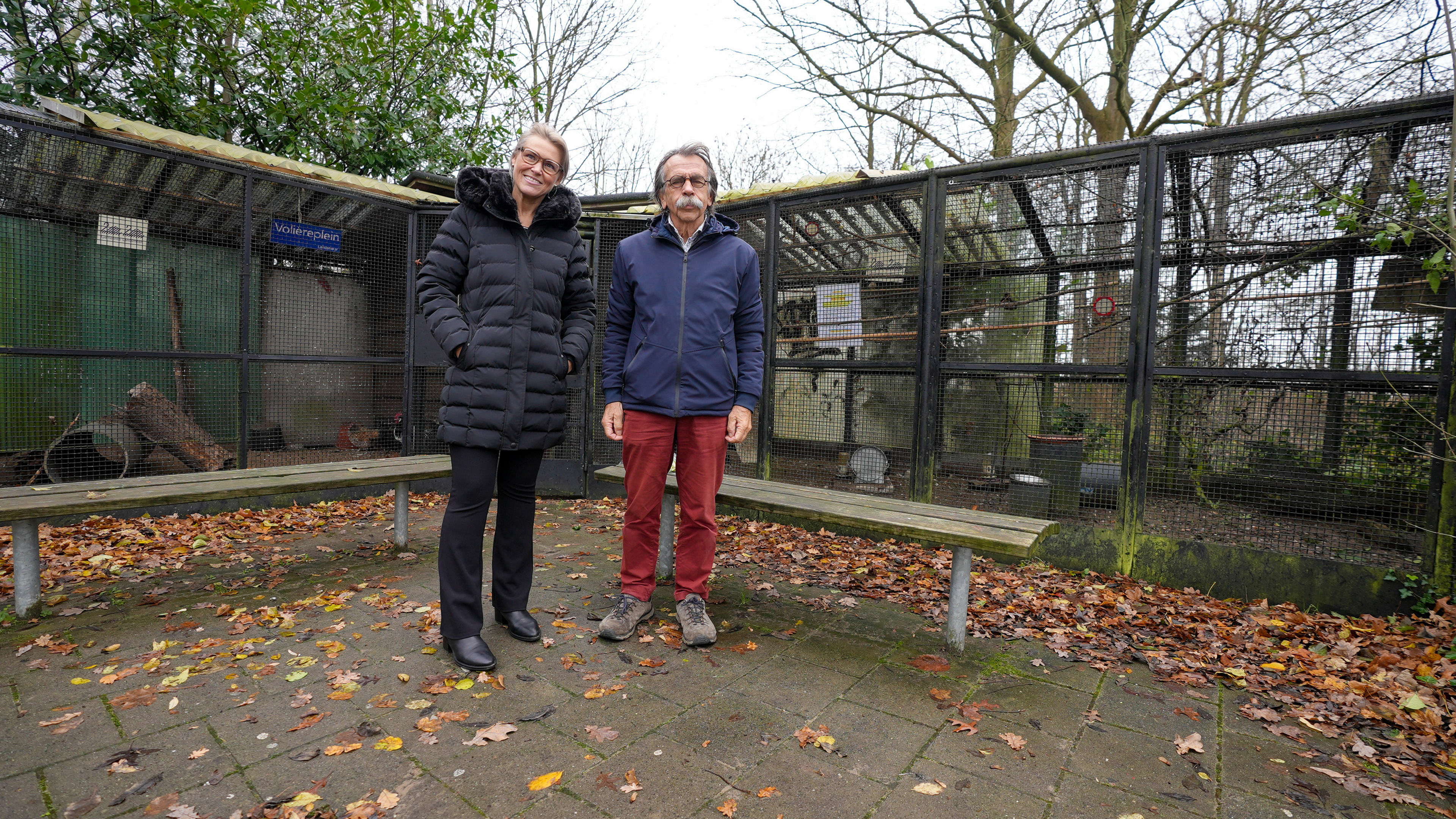 Ratten vreten honderd vogels op in volière, maar ze laten de kippen met rust: ‘Dit gebouwtje is echt