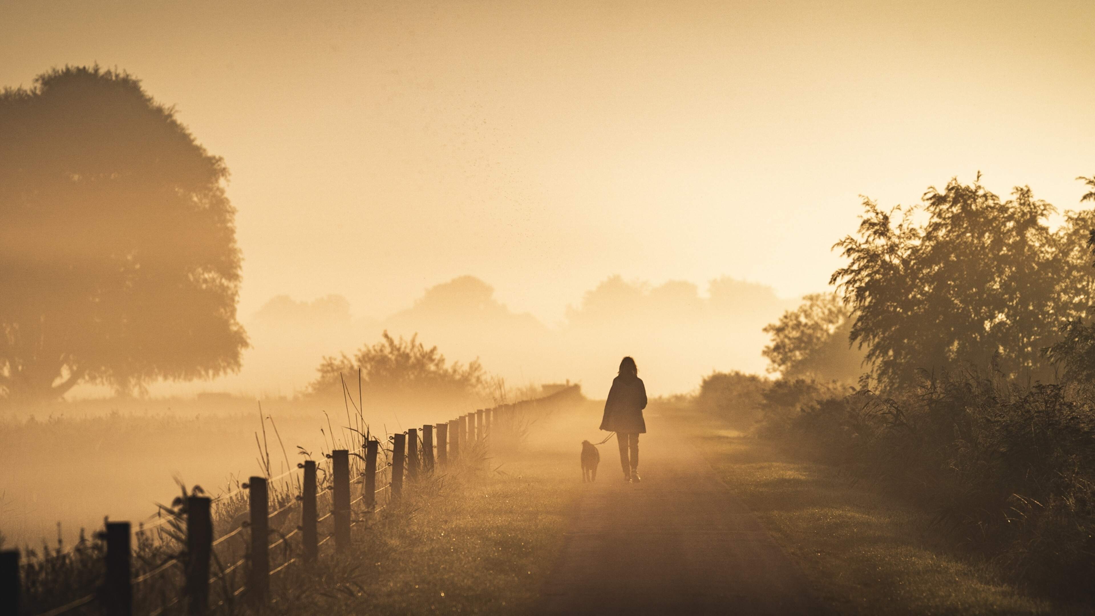 Code yellow in North Holland due to locally dense fog