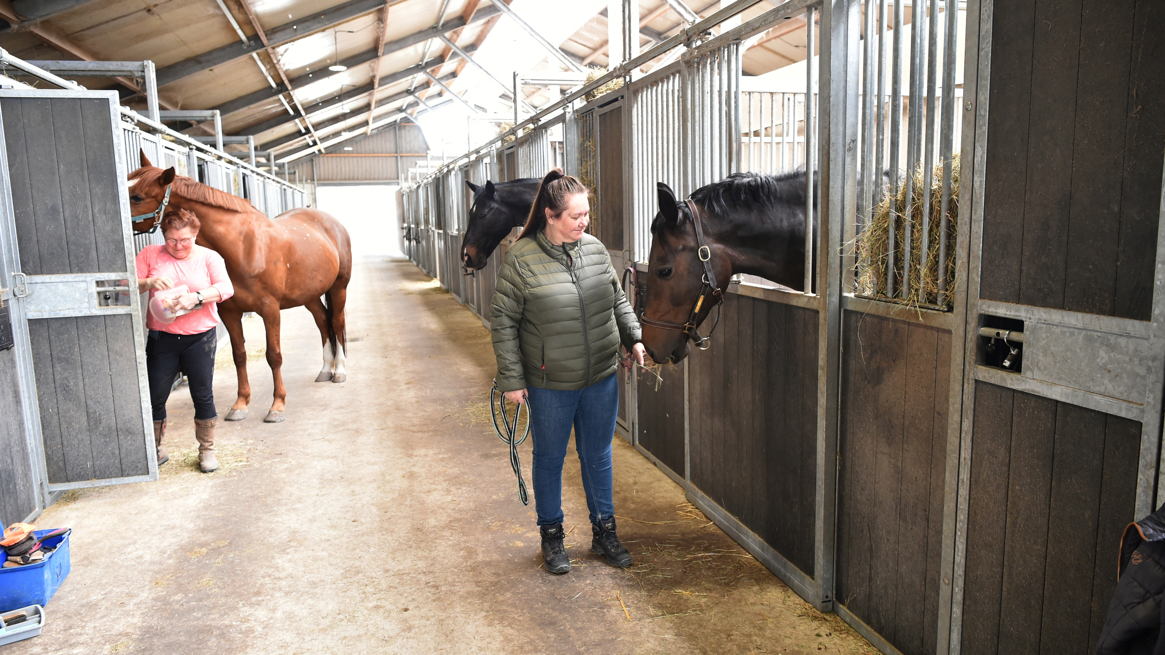 Riding club De Commandeurs from Heemskerk has moved: ‘To attract people, you must offer good conditions’