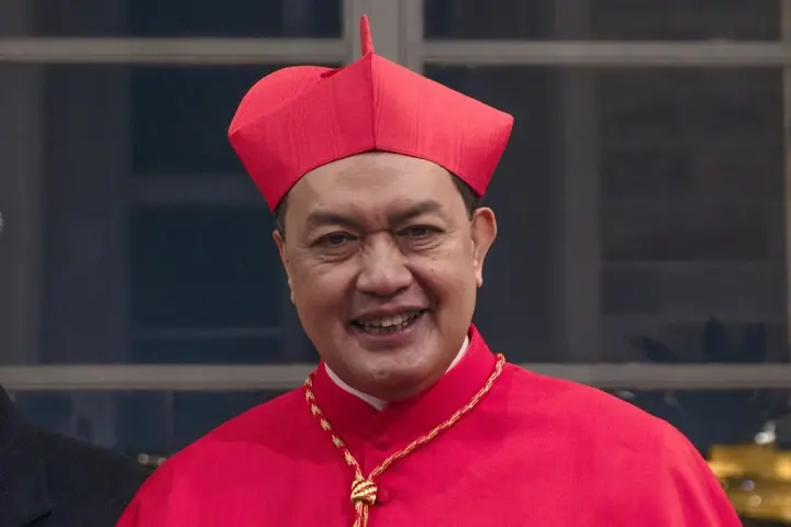 Dit zijn de mogelijke opvolgers van paus Franciscus: ’Er gaat een