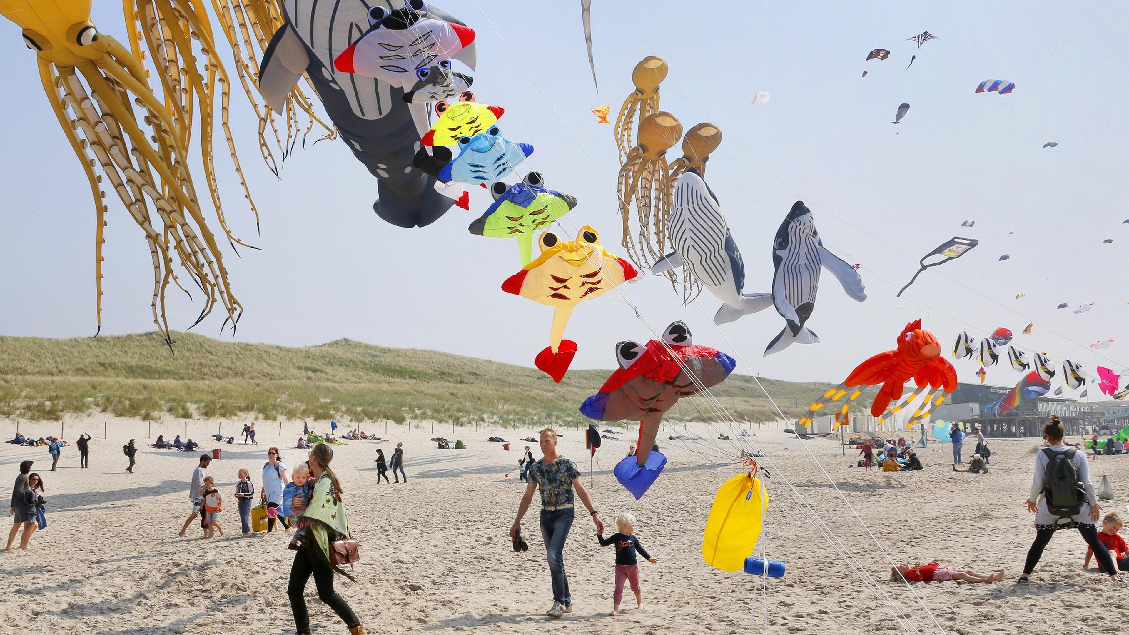 Vliegerfeest Callantsoog kleurt opnieuw het strand met luchtspektakel