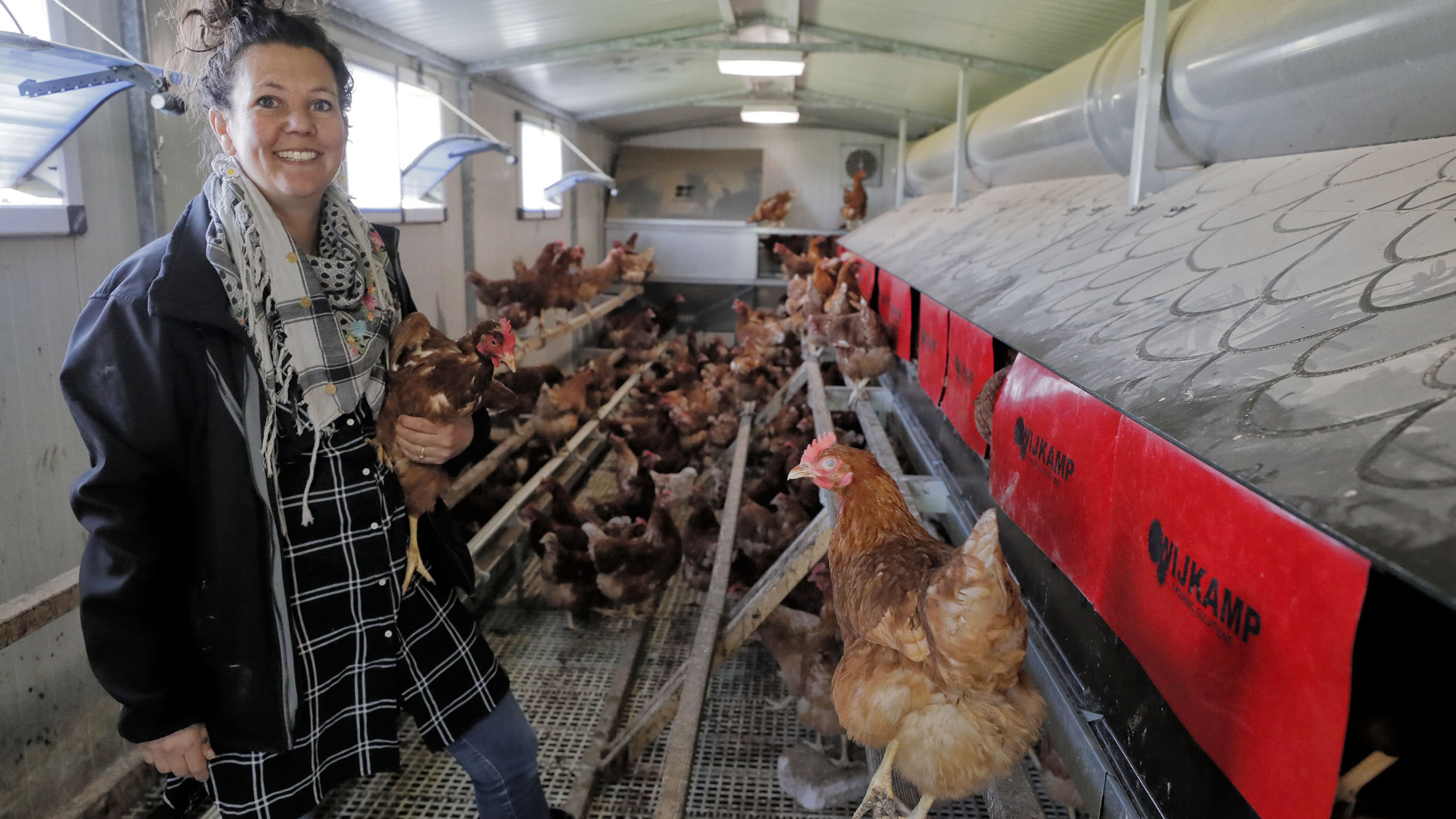 PFAS, vogelgriep en vaccin-eieren, met Pasen hebben we er schijt aan. ’Een ei hoort er gewoon bij’