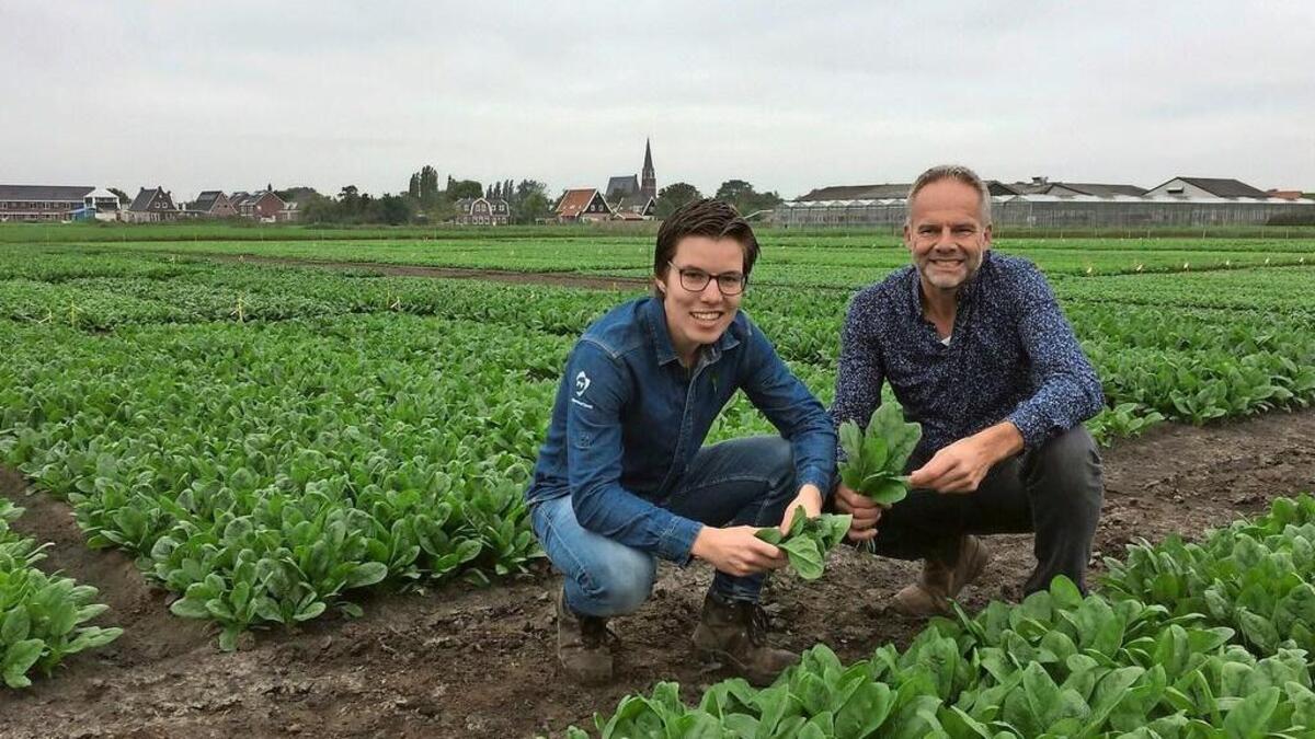 Zaadbedrijf Pop Vriend uit Andijk overgenomen door KWS | Noordhollands ...