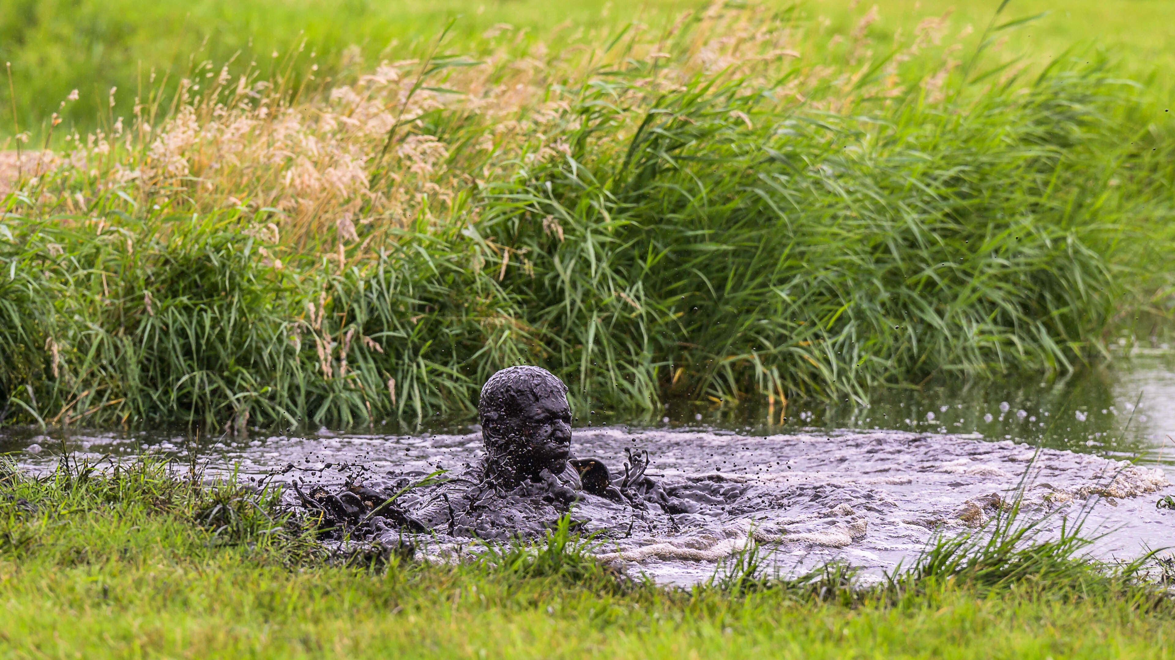 Prutrace Westzaan afgelast door vrijwilligerstekort