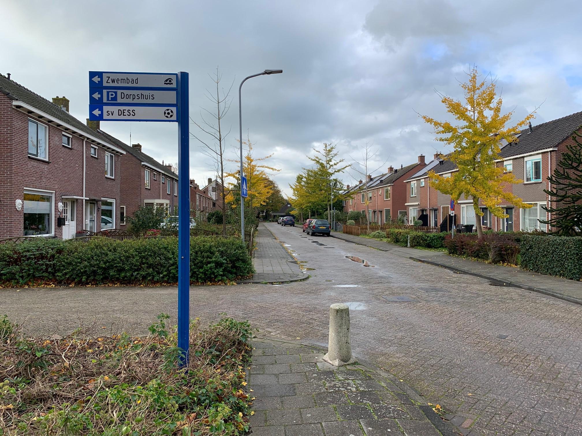 Sijbekarspse bomen moeten wijken voor zwaardere leidingen elektra