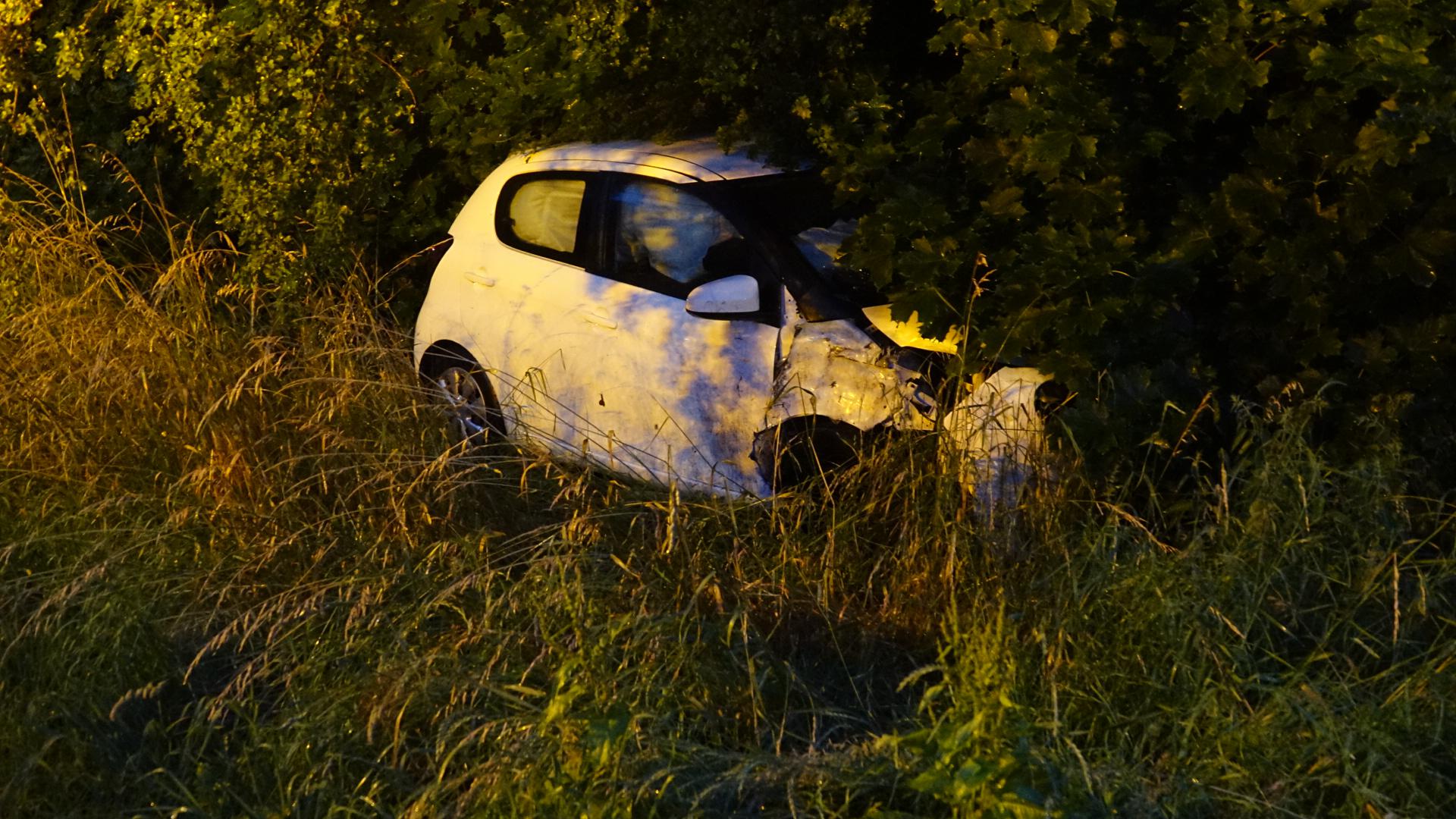 Auto klapt tegen boom in Zwaagdijk-Oost, bestuurder vlucht