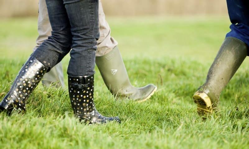 Wandelen in en rond Aartswoud: ’Leerzen An’