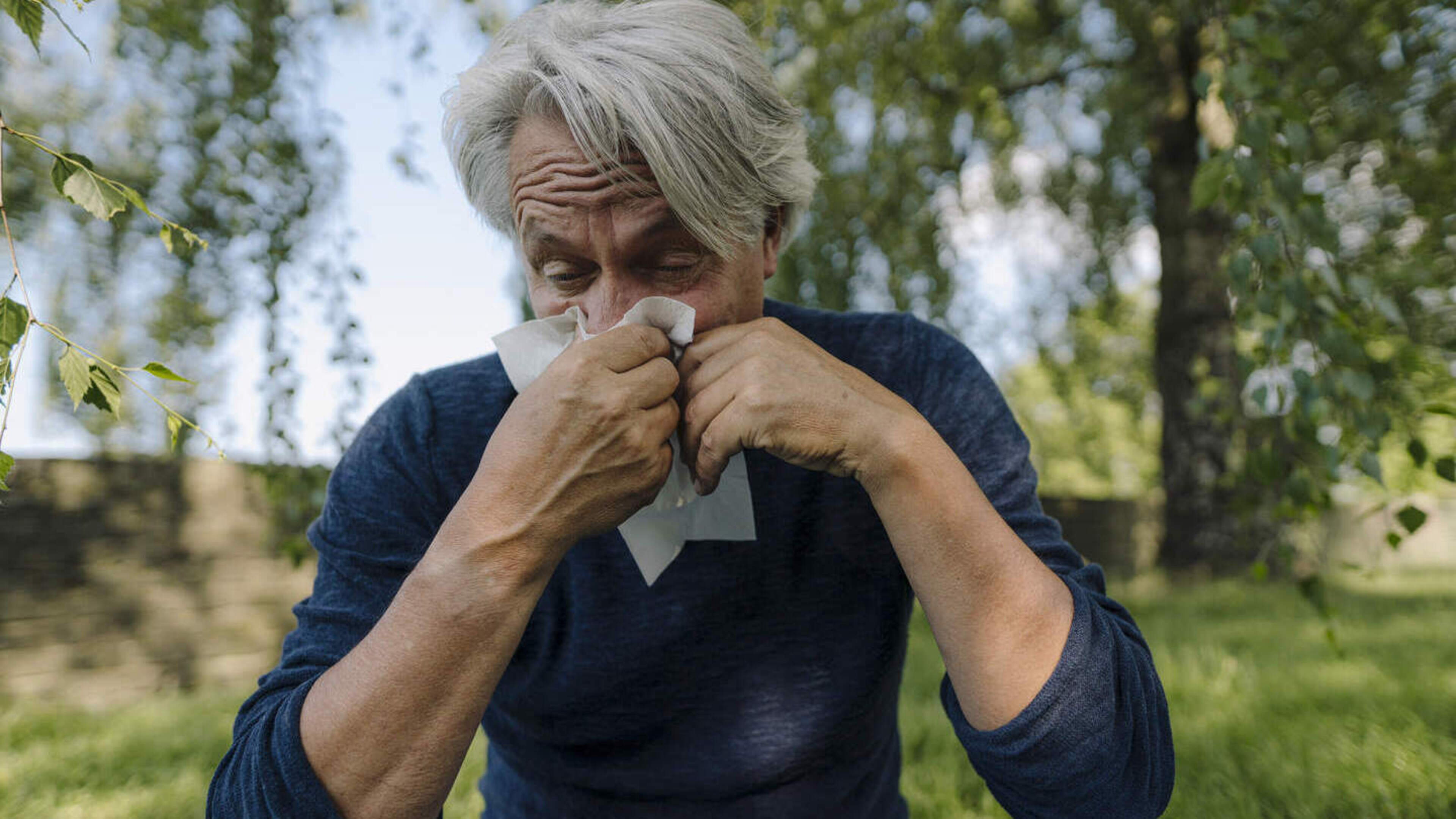 Twice as many hay fever symptoms as last week due to heat