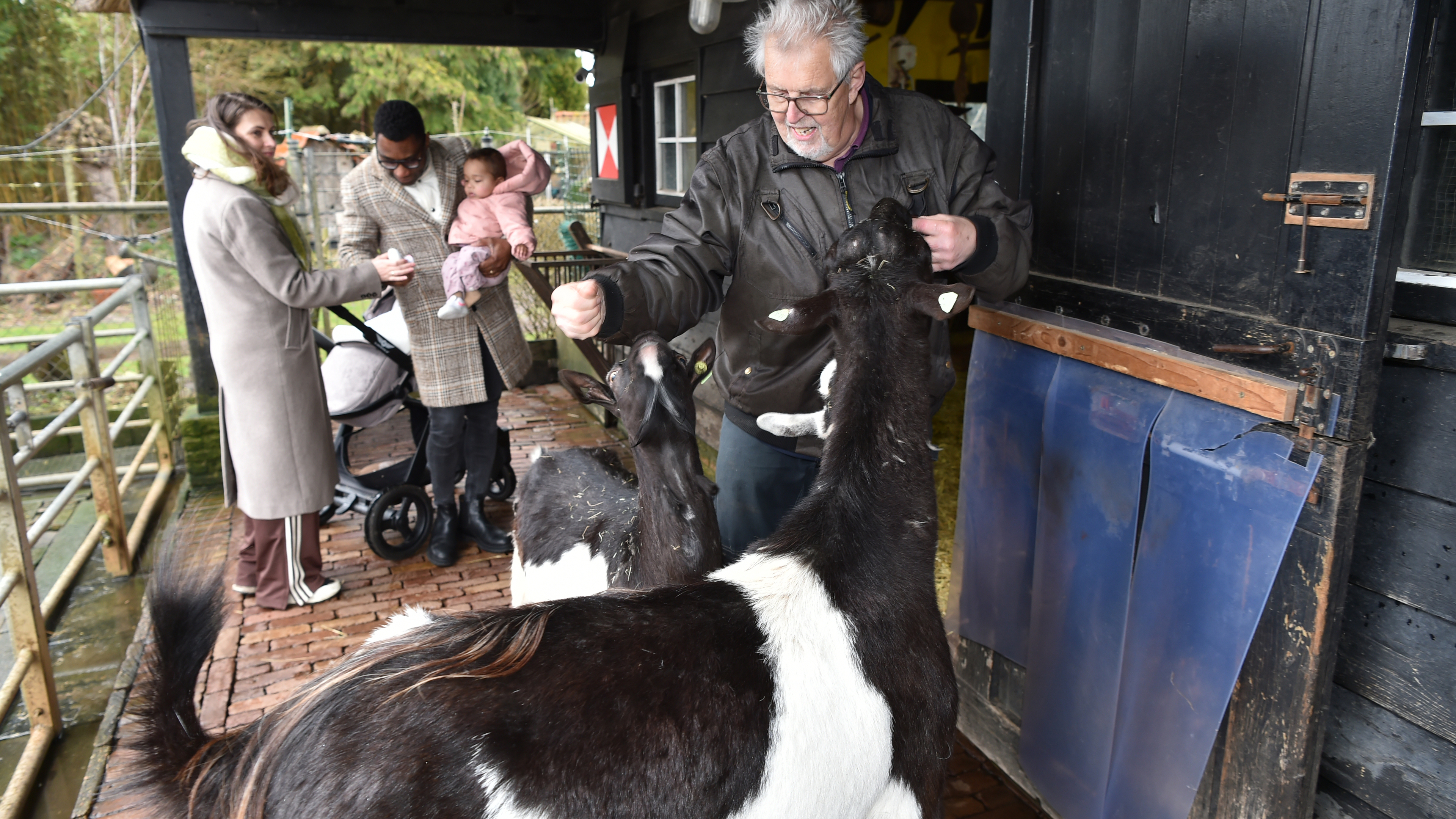 Petting zoo unconcerned about Q fever in goats: 'Just wash your hands well before eating'