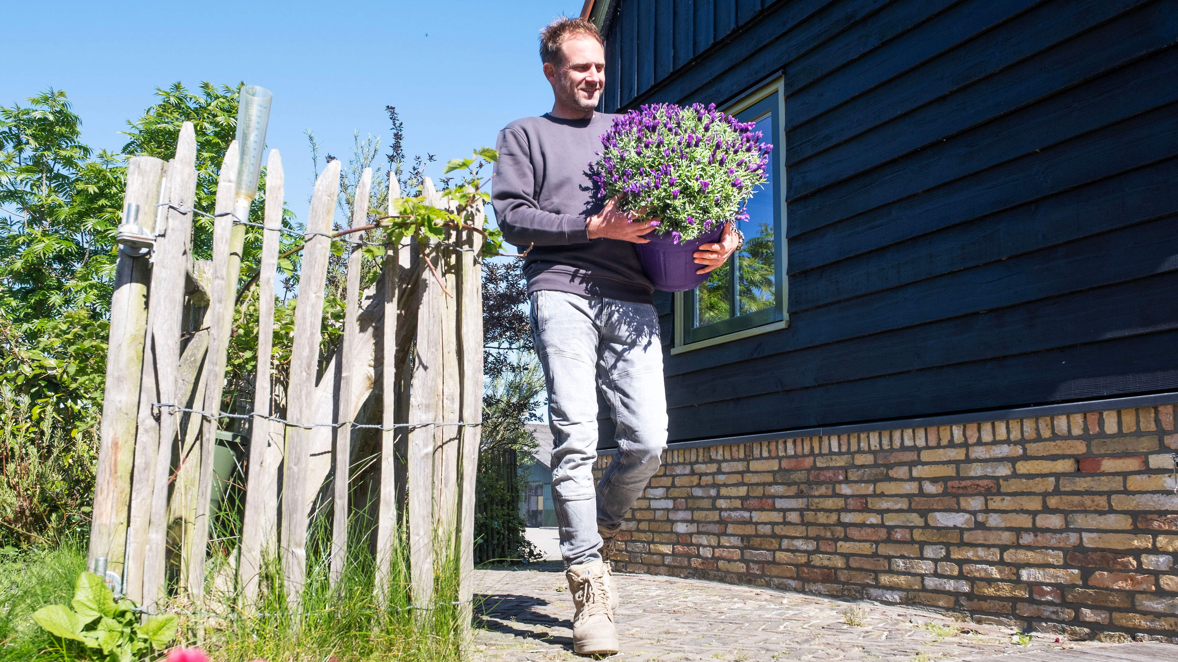 How can I decorate my roof terrace with plants? Farmer Tom: ‘Take a close look at the conditions’