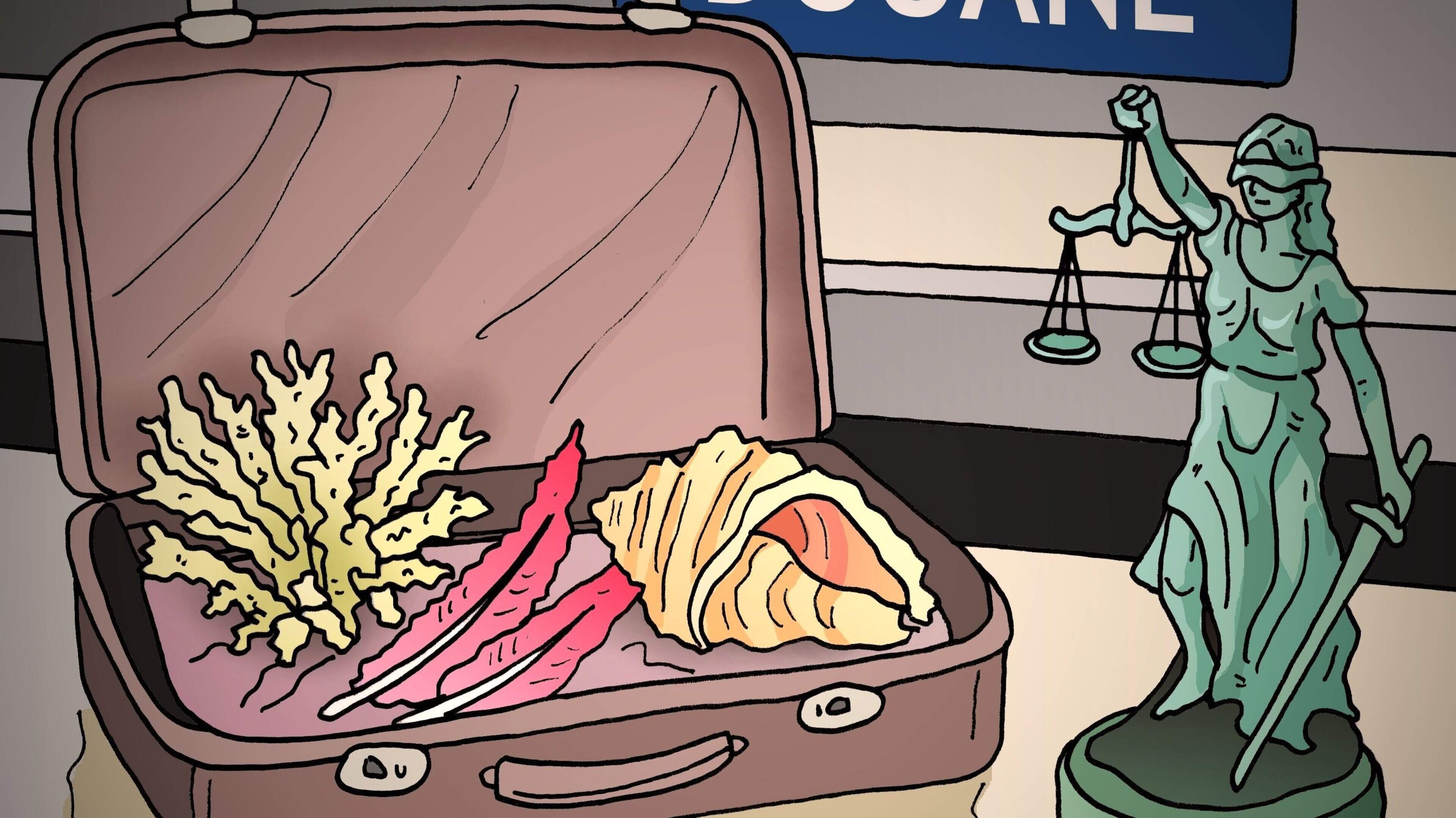 Woman fined 320 euros for bringing coral and feathers on plane: ‘How?!’ she fumes in court