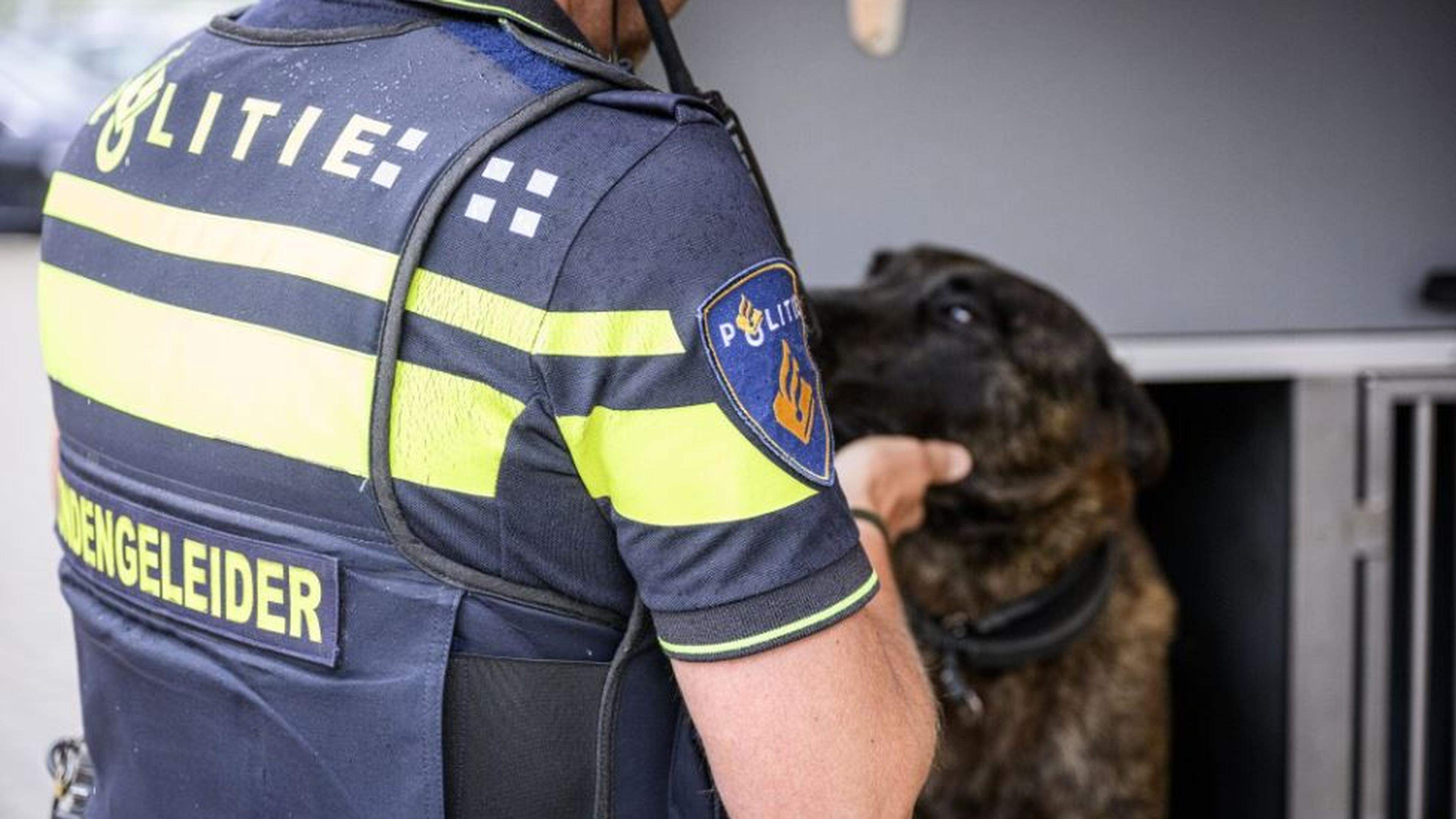 Bevlogen politieman blijkt stroman van zijn jongere broer, een geharde drugscrimineel uit Haarlem