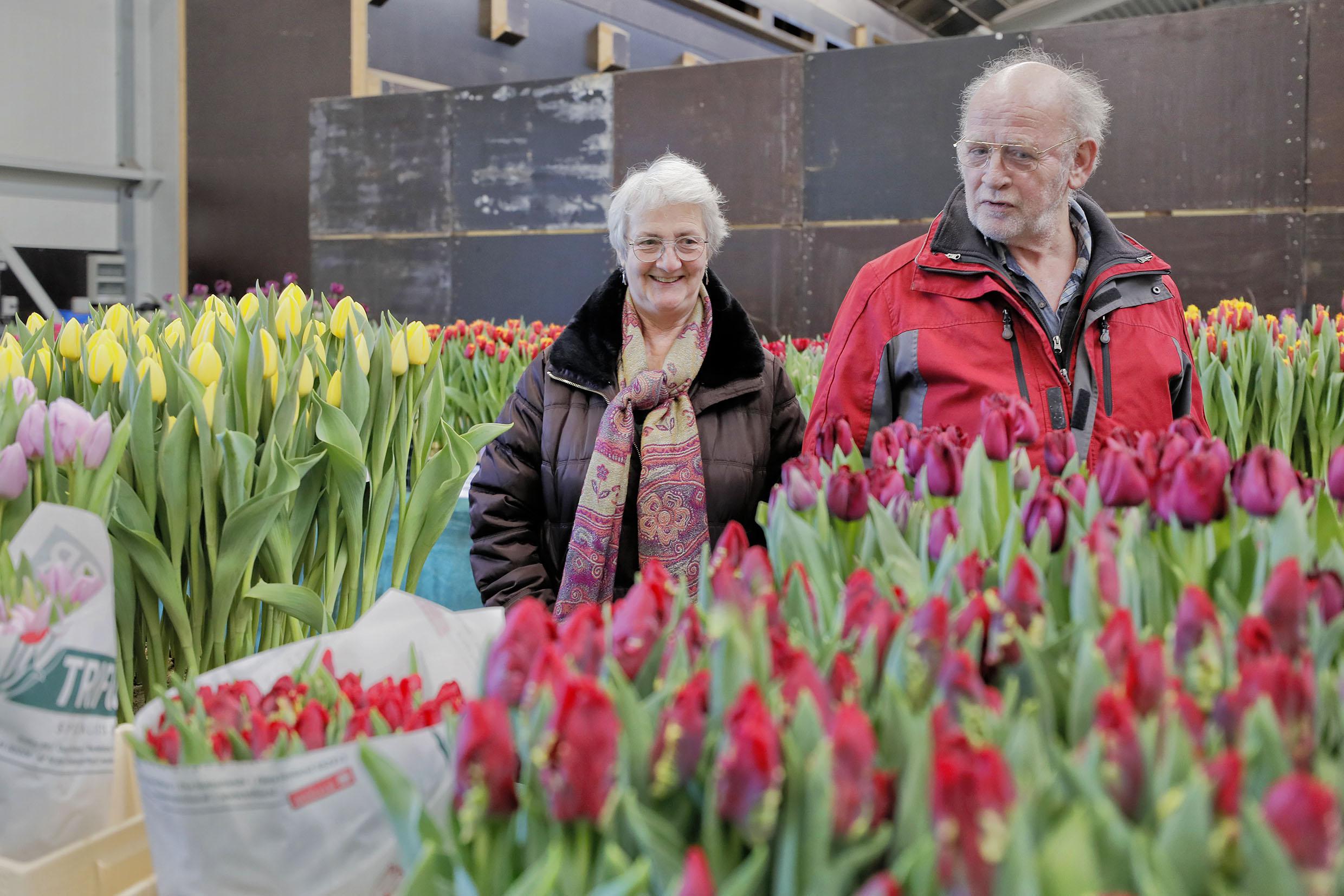 ’Tante Truus’ en ’Steakhouse’ stelen de vuurwerkshow bij tulpenbedrijf Triflor in Oude Niedorp